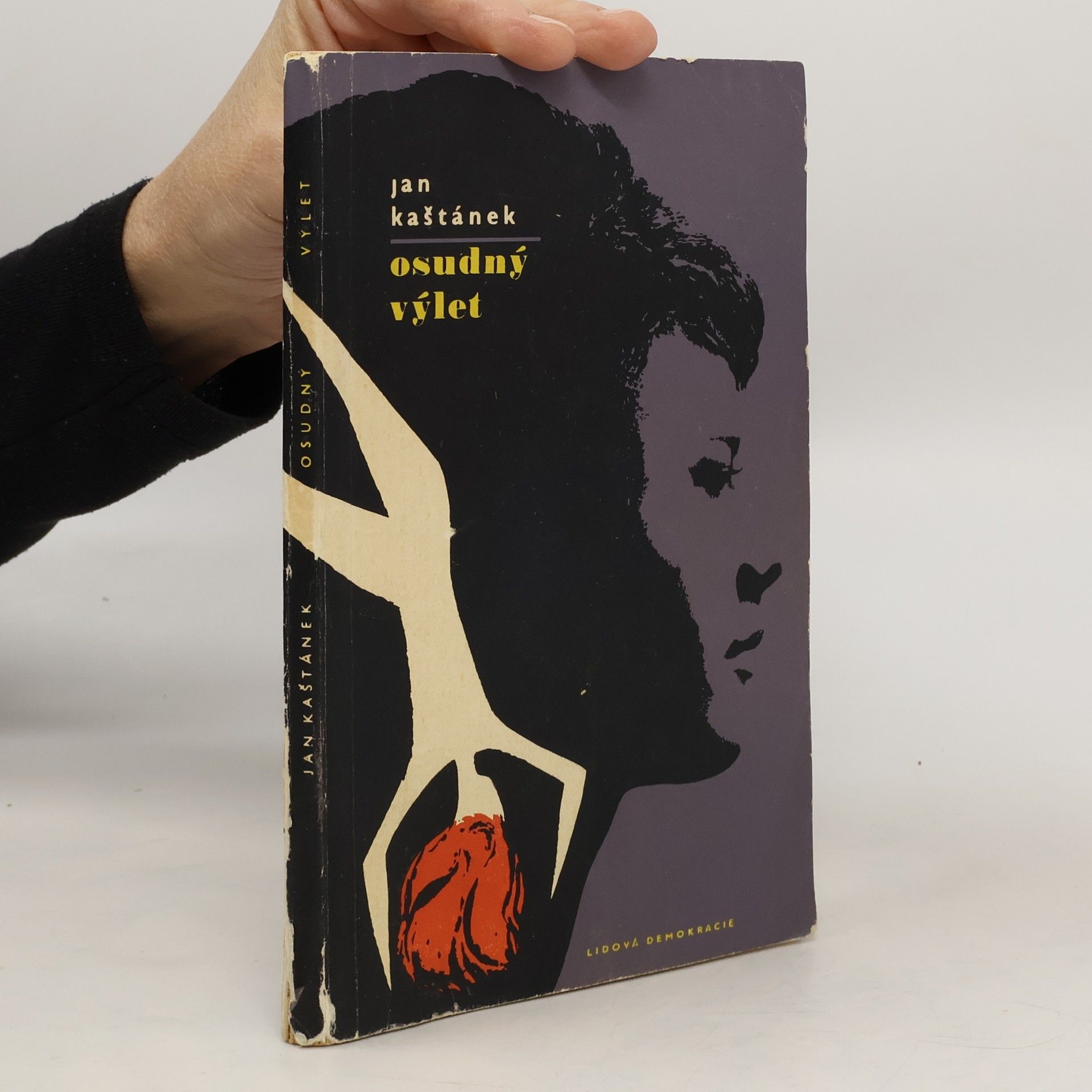 Karel Petrák Osudný výlet