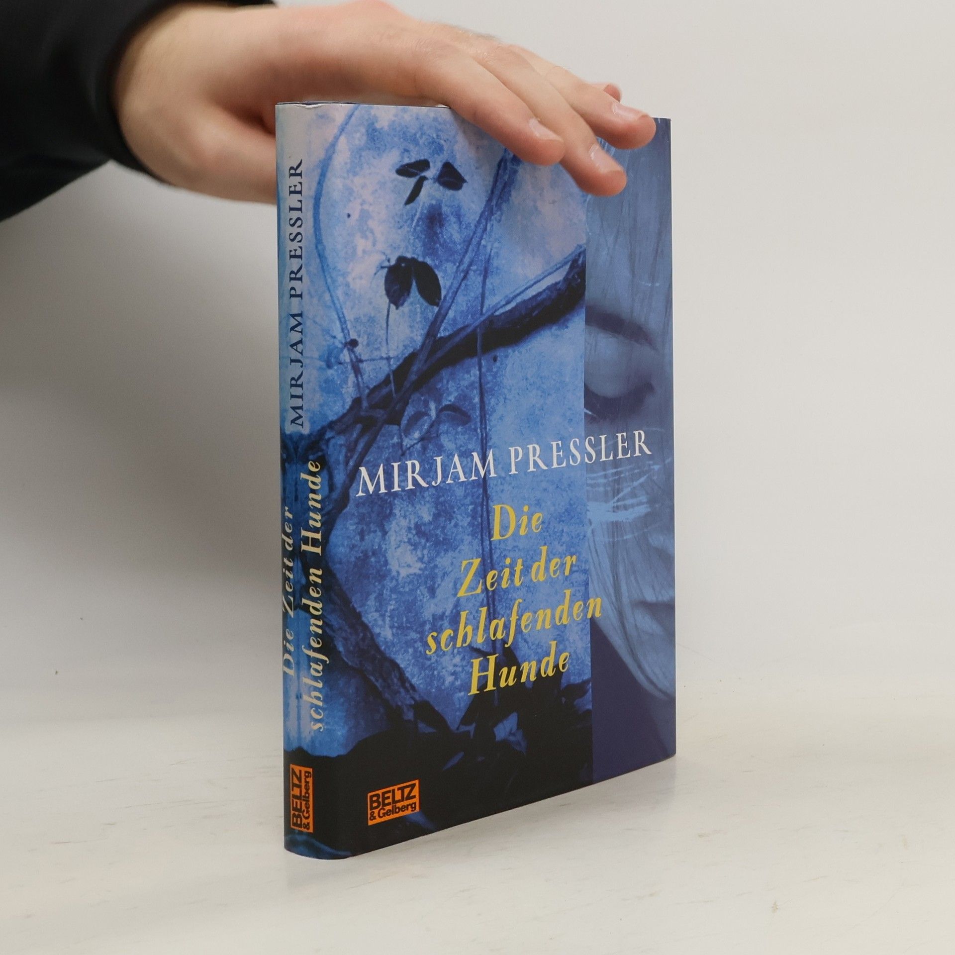 Mirjam Pressler Die Zeit der schlafenden Hunde