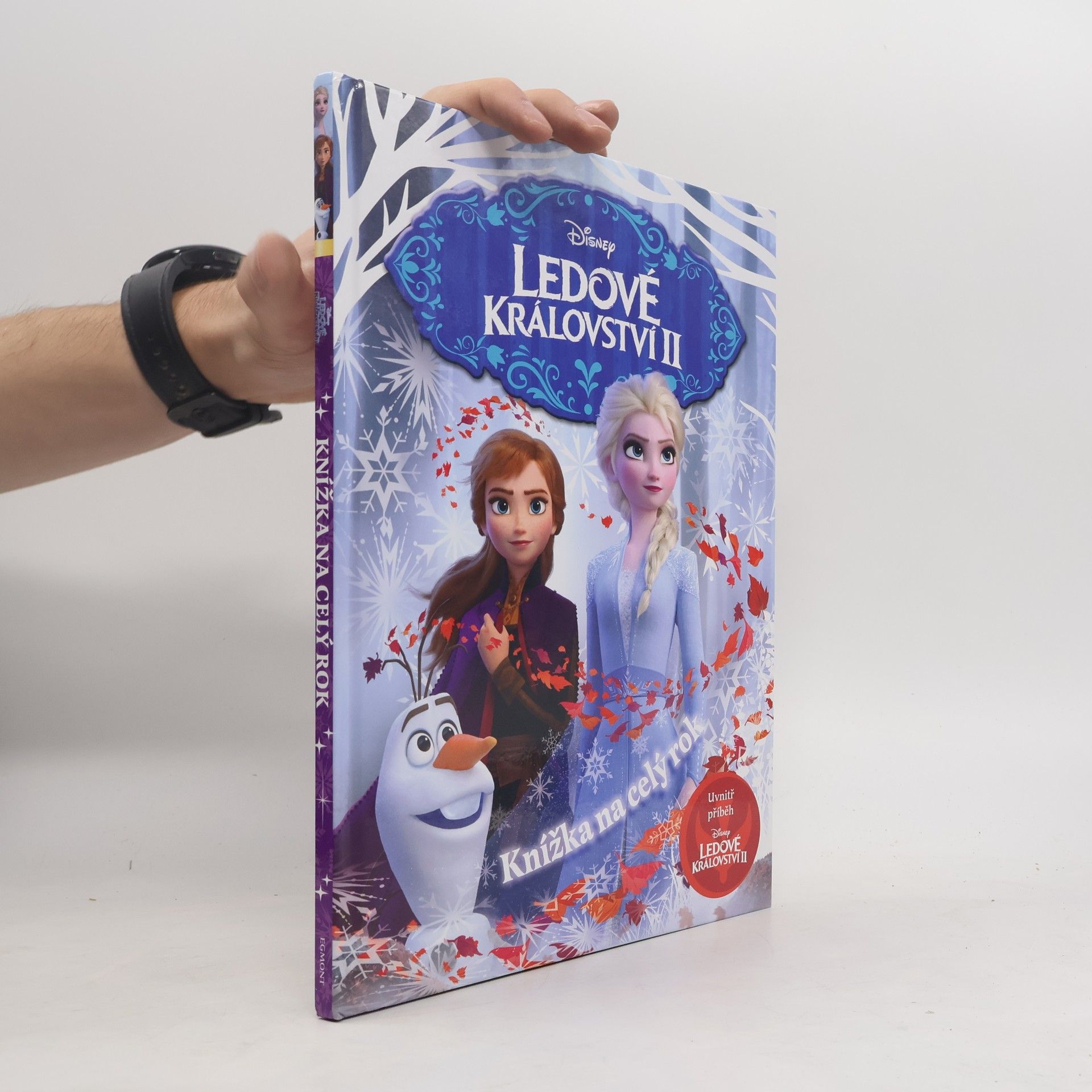 Ledové království II. Knížka na celý rok