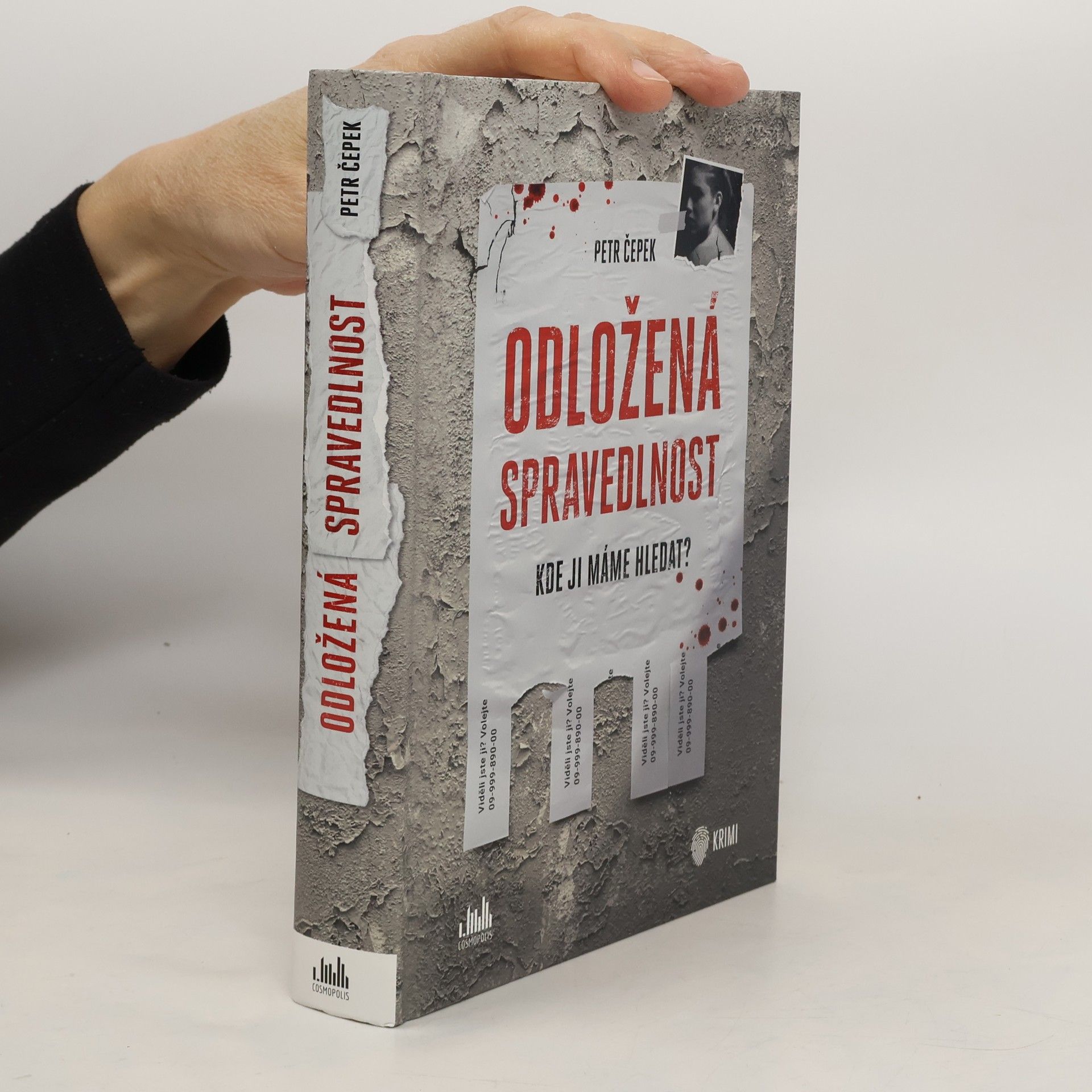 Petr Čepek Odložená spravedlnost