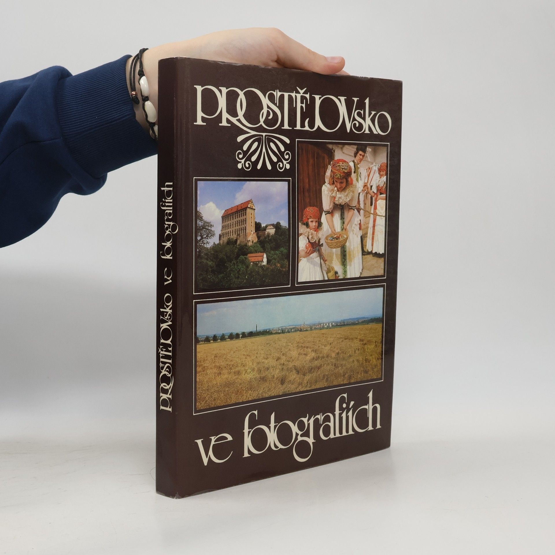 Autorenkollektiv Prostějovsko ve fotografiích