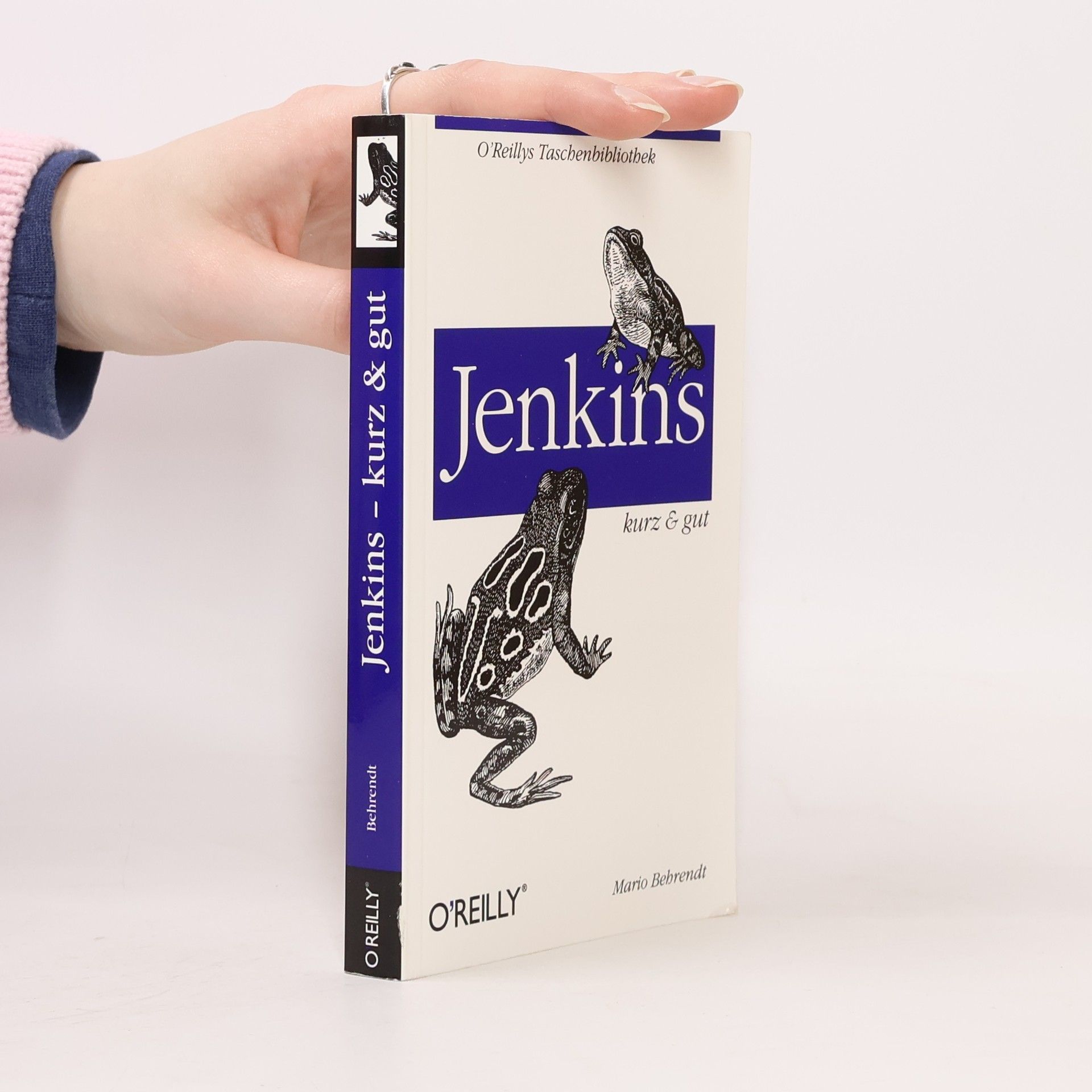 Mario Behrendt Jenkins - kurz & gut