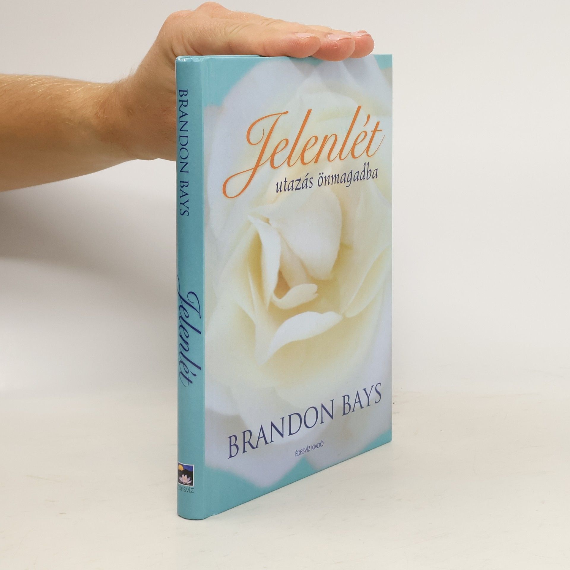 Brandon Bays Jelenlét