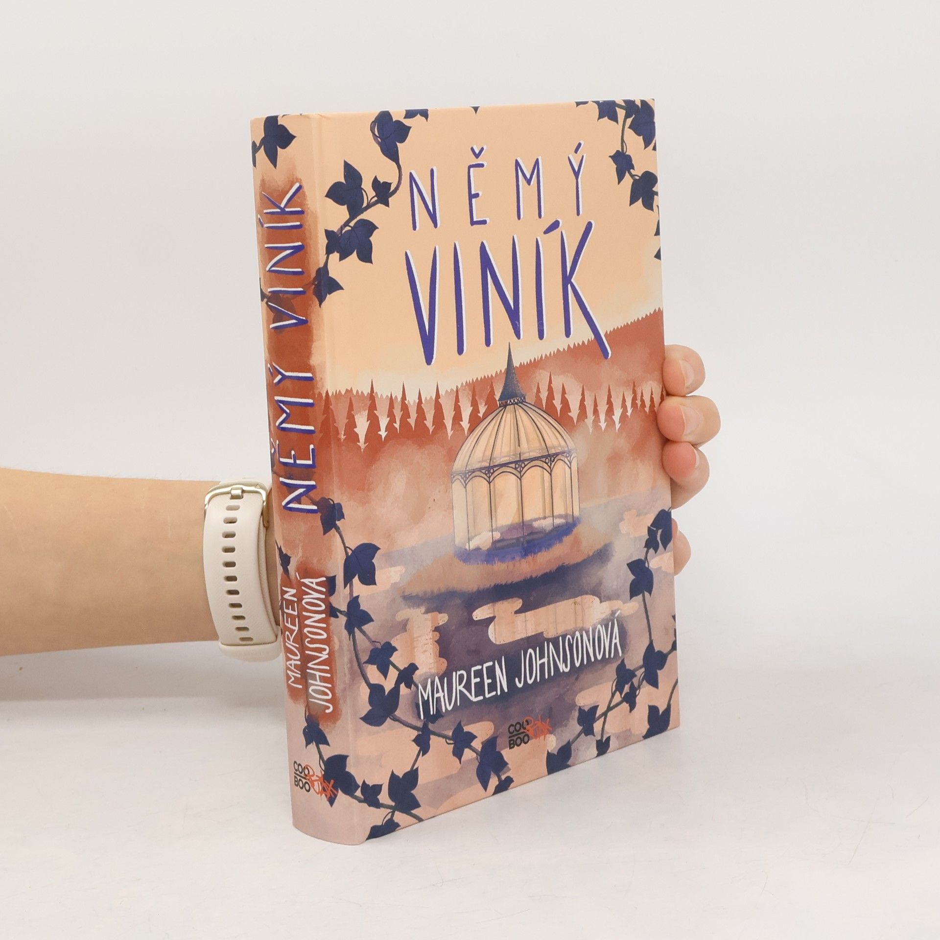 Maureen Johnson Němý viník