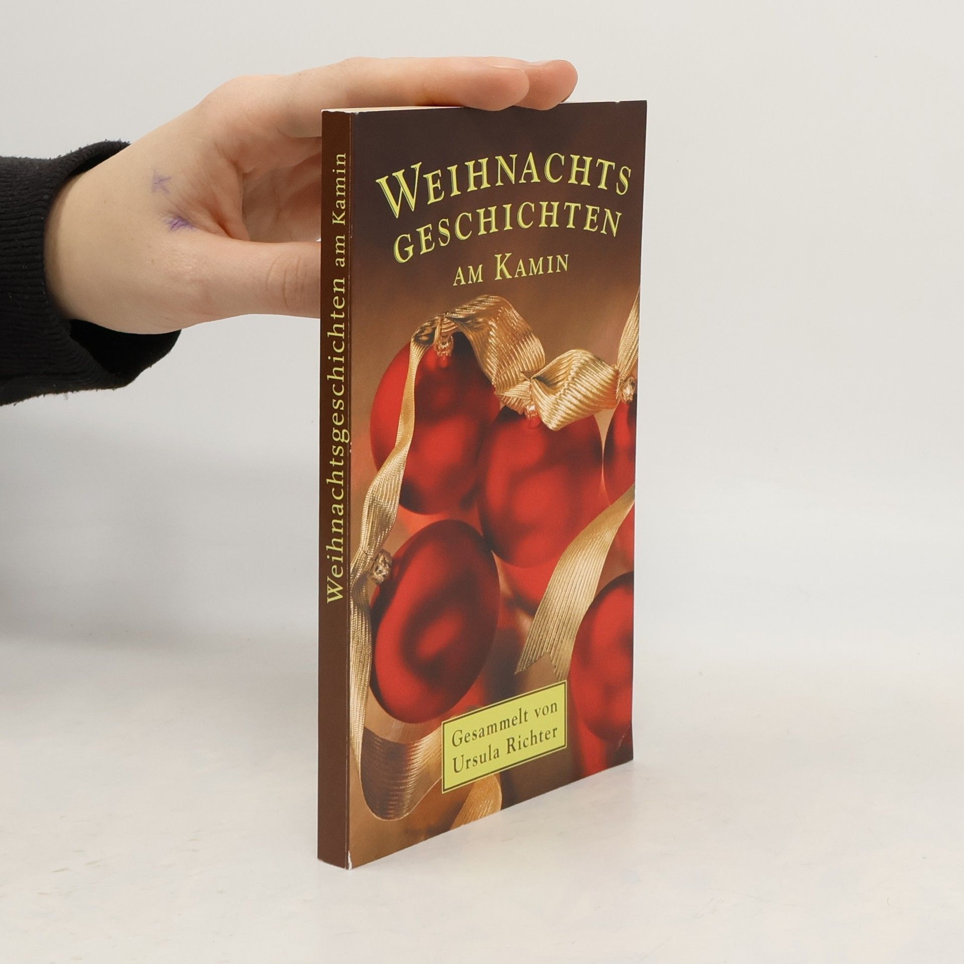 Ursula Richter Weihnachtsgeschichten am Kamin