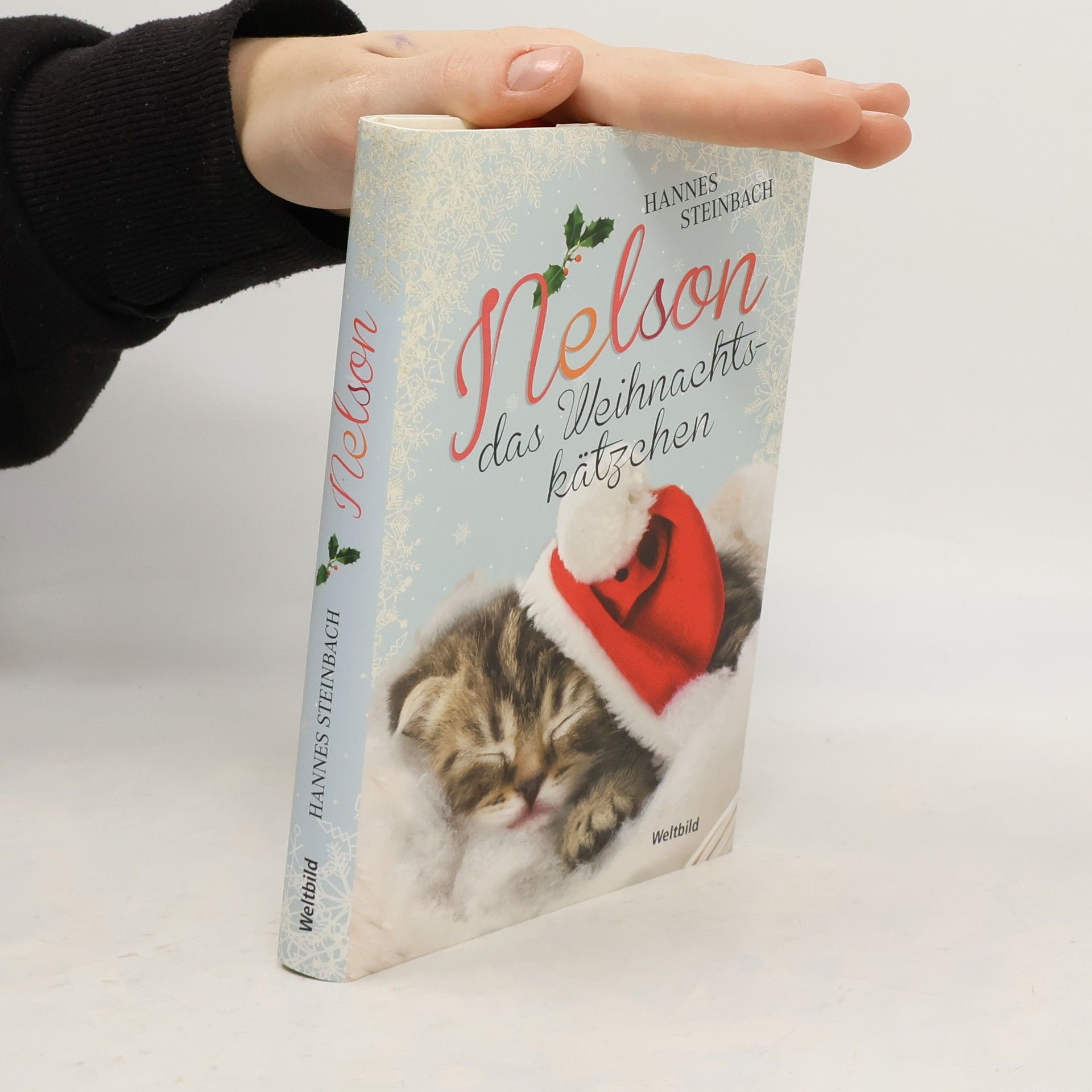 Hannes Steinbach Nelson das Weihnachts-kätzchen