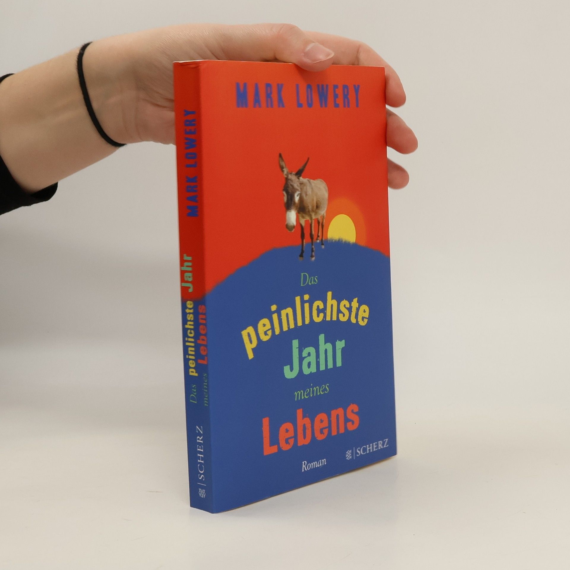 Mark Lowery Das peinlichste Jahr meines Lebens