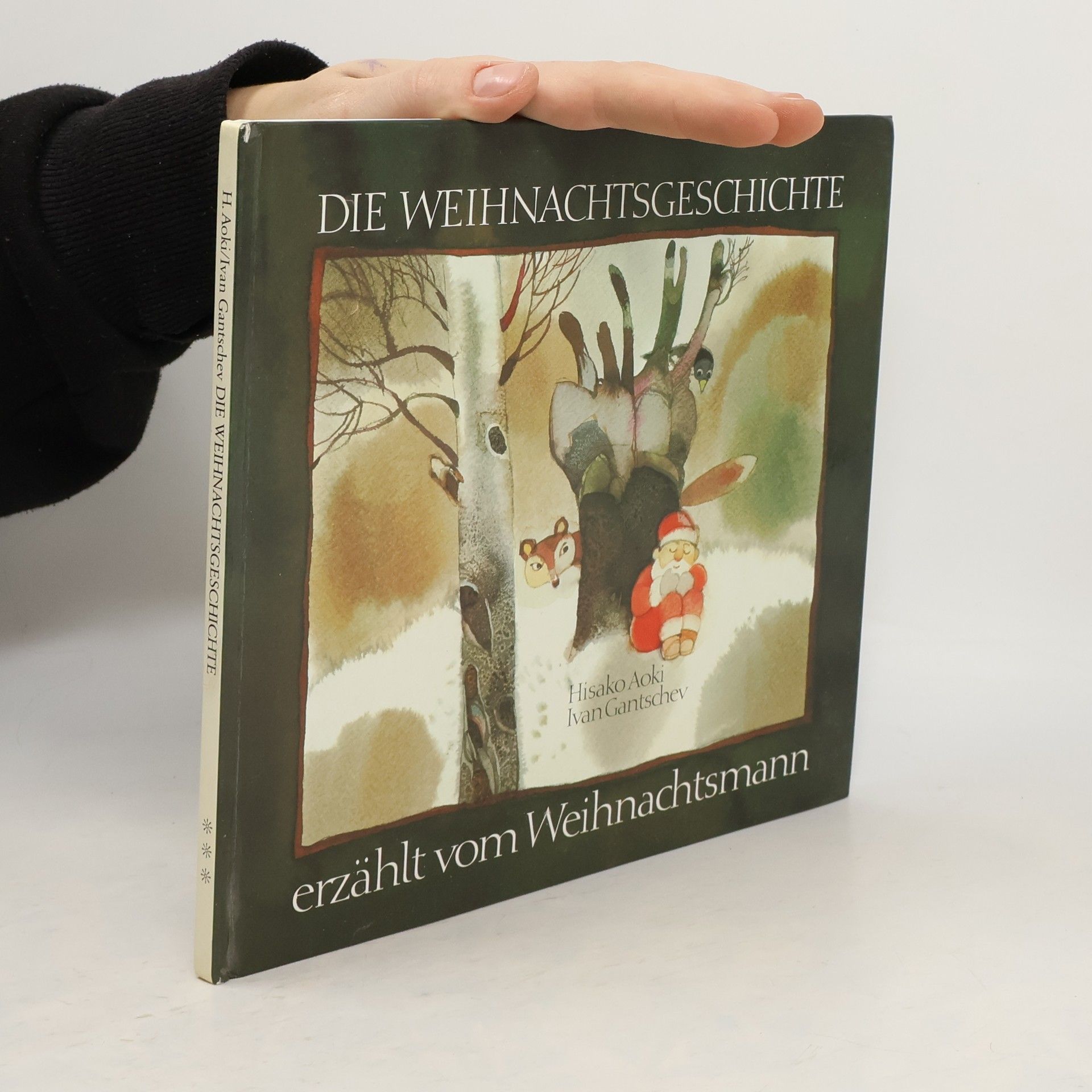 Hisako Aoki Die Weihnachtsgeschichte, erzählt vom Weihnachtsmann