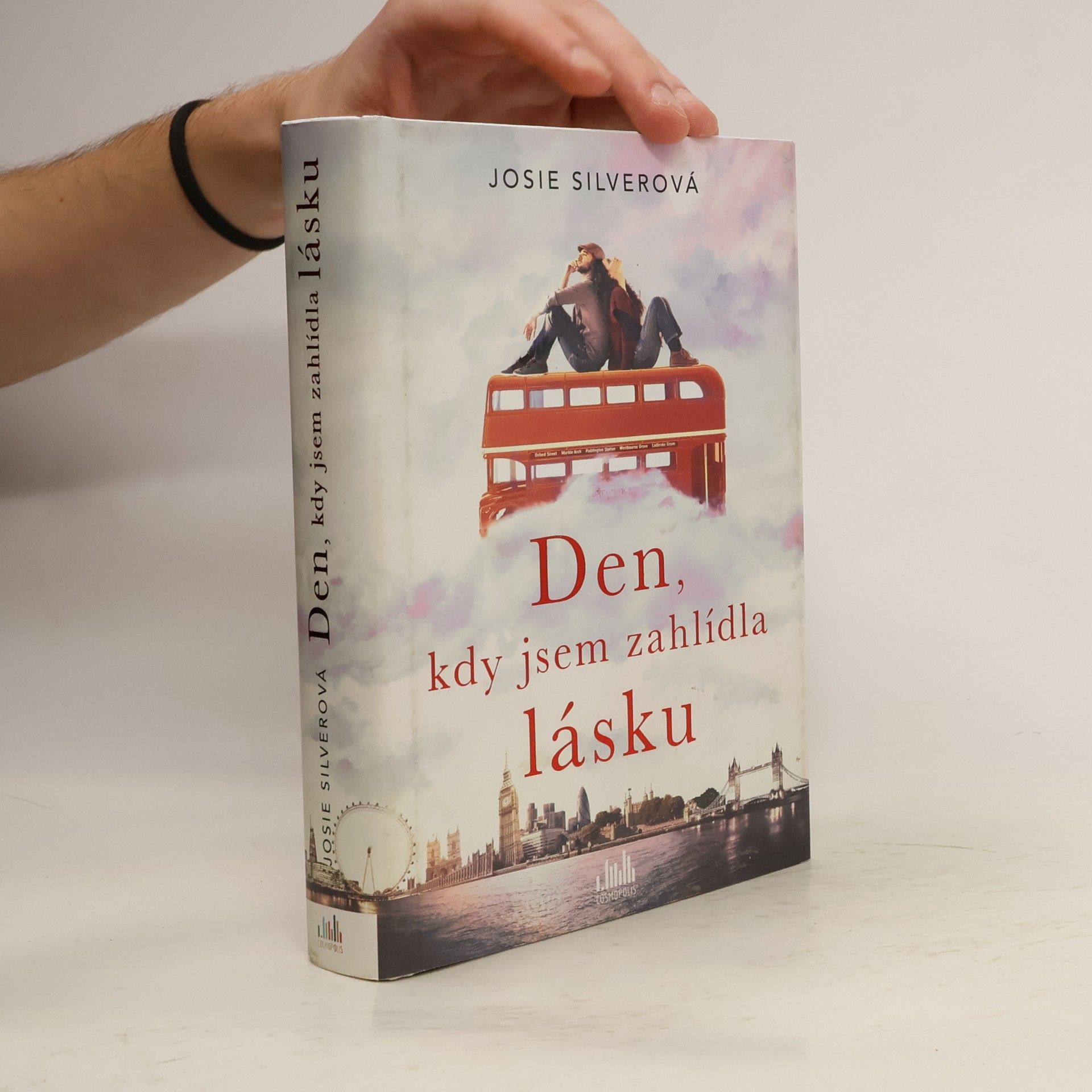 Josie Silver Den, kdy jsem zahlídla lásku