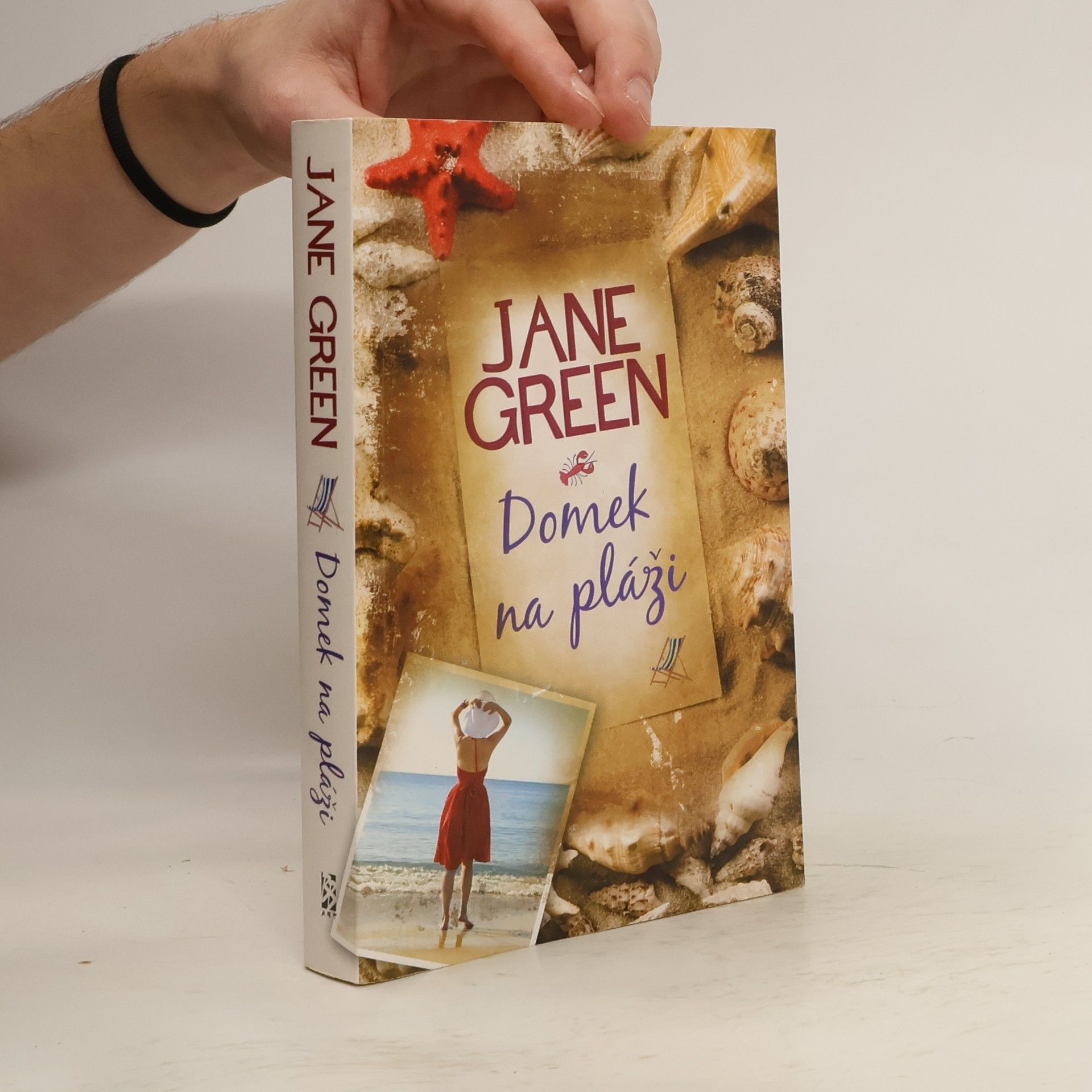 Jane Green Domek na pláži