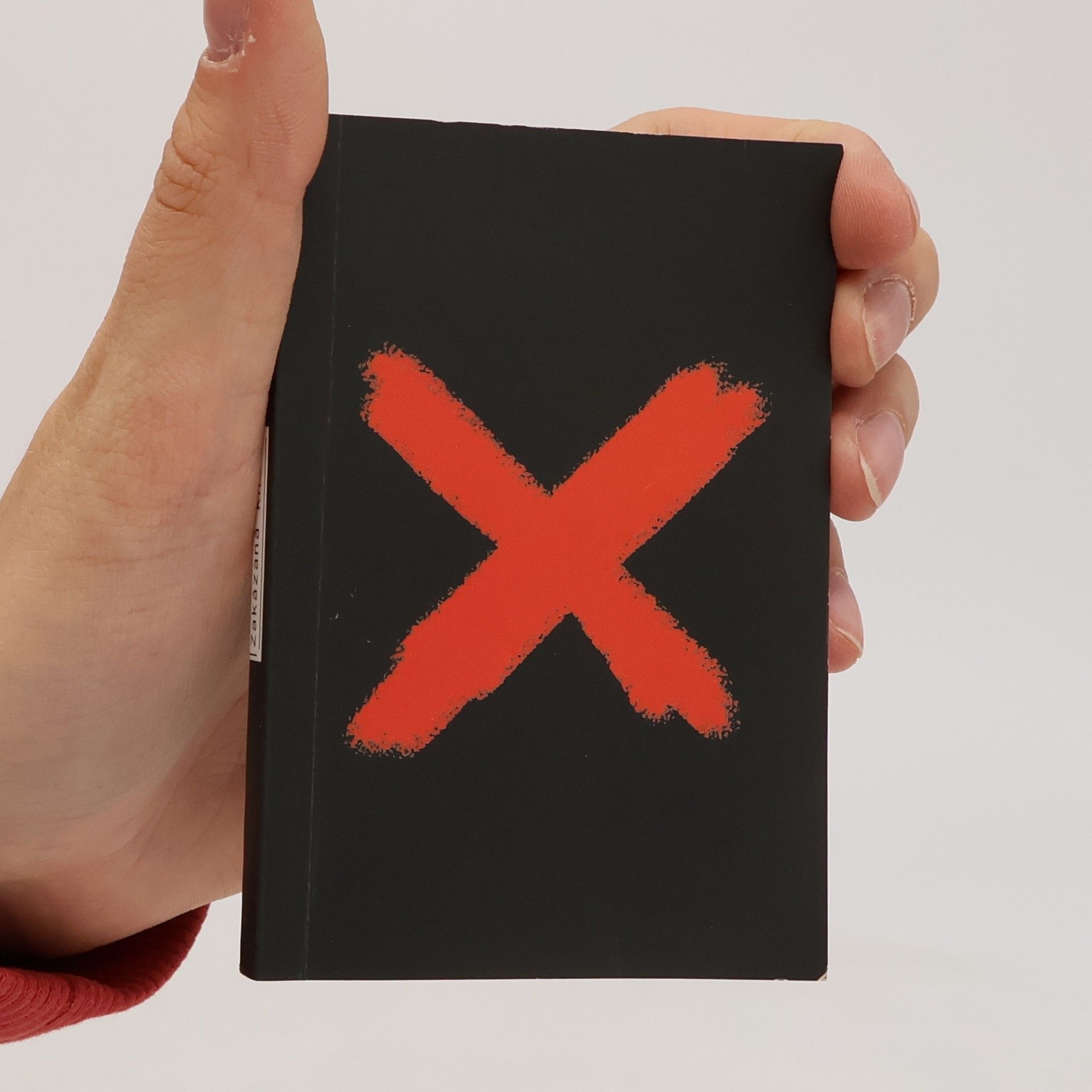 Nina Špitálníková Zakázaná kniha