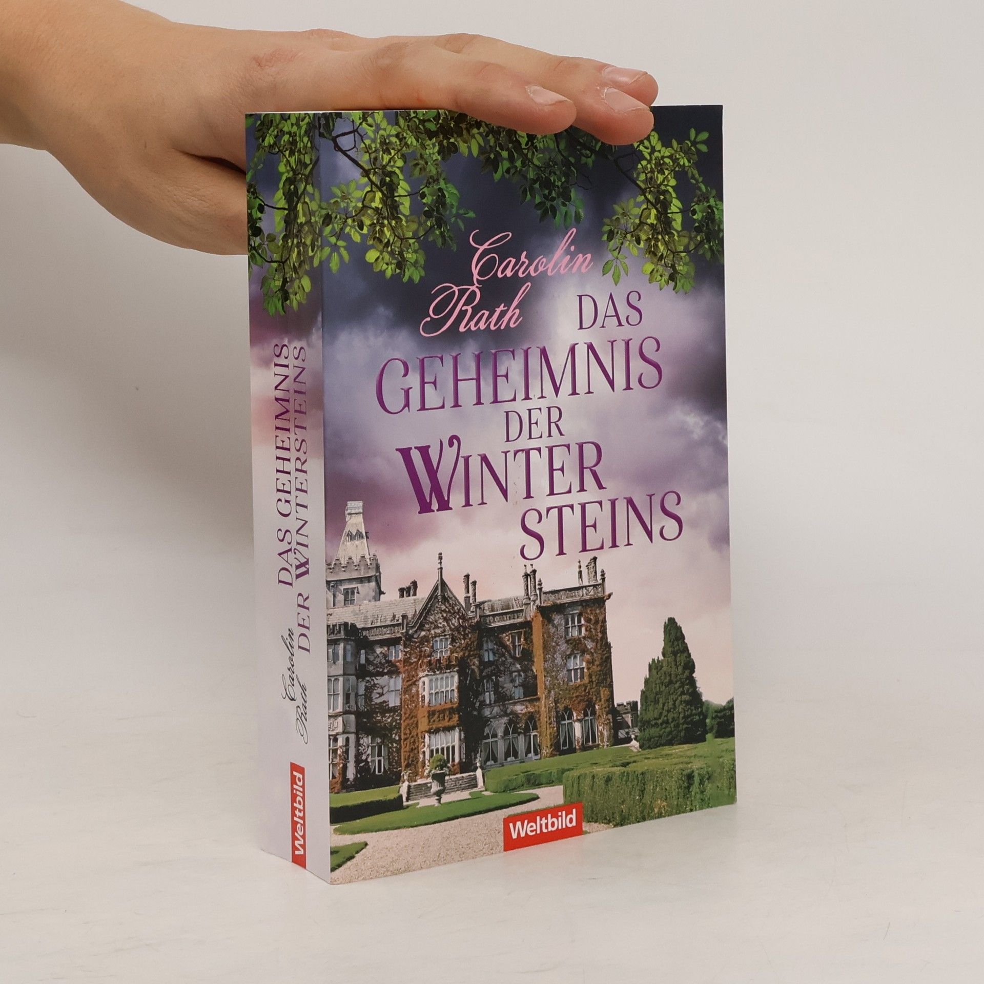 Das Geheimnis der Wintersteins