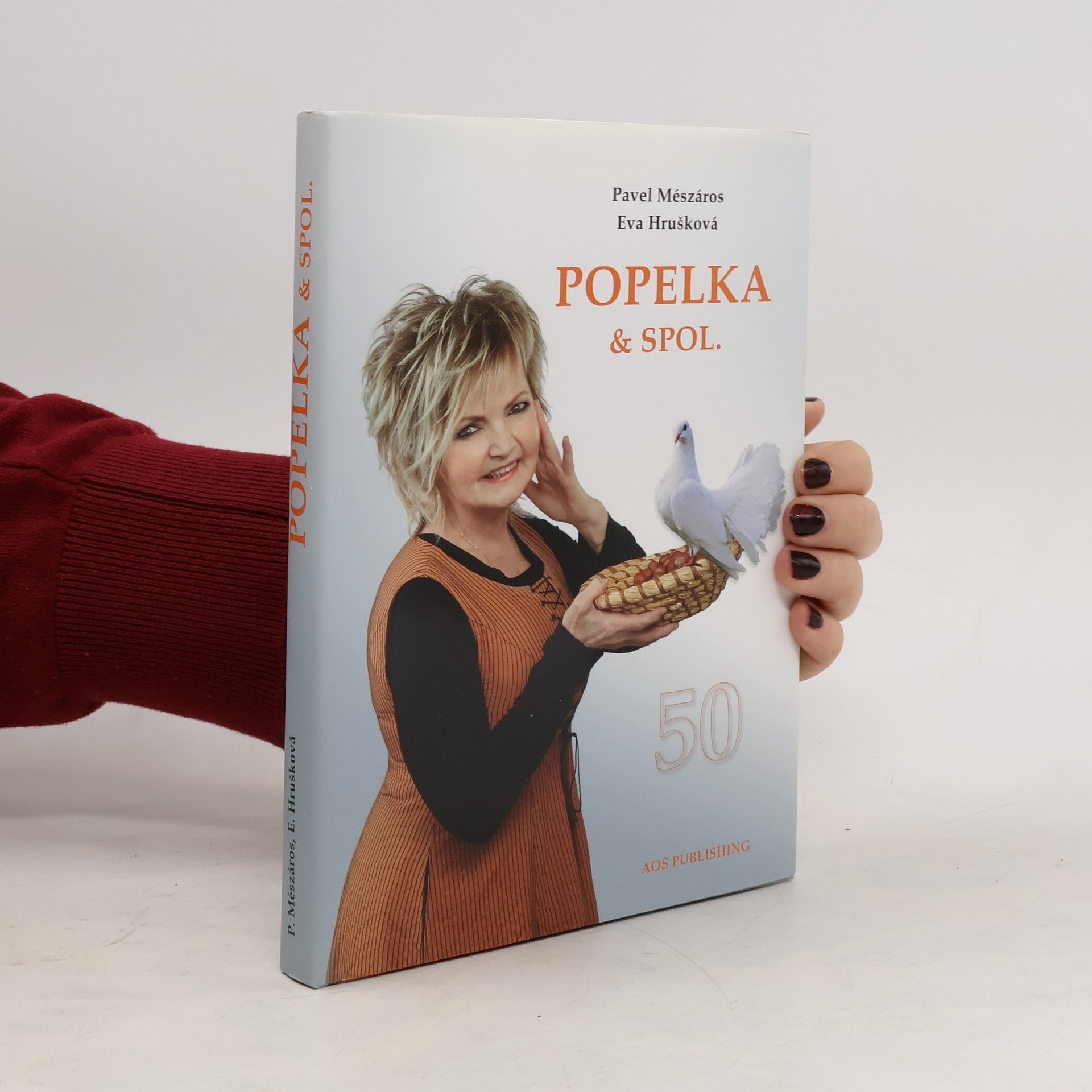 Pavel Mészáros Popelka & spol.