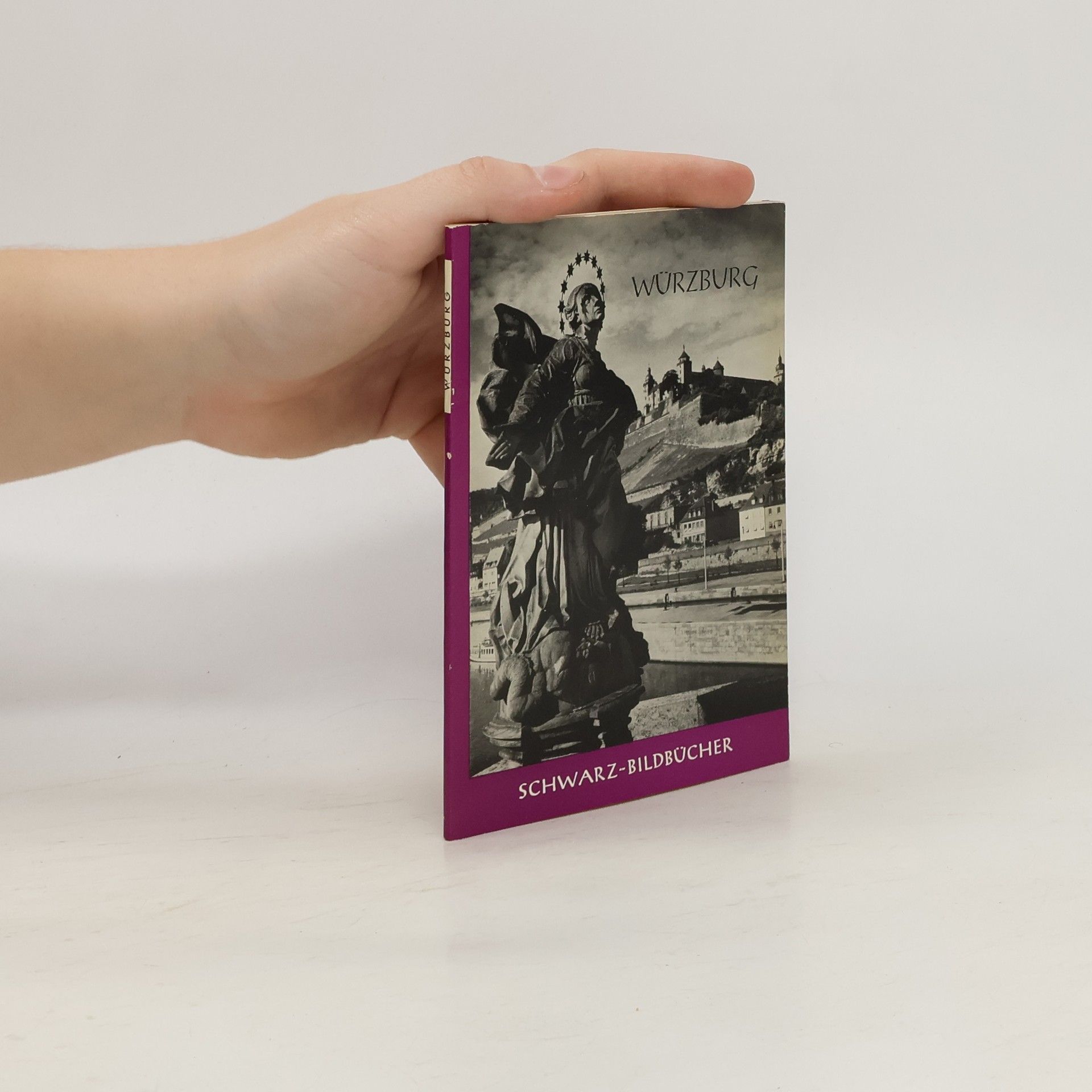 Kolektív autorov Würzburg. Schwarz-Bildbücher