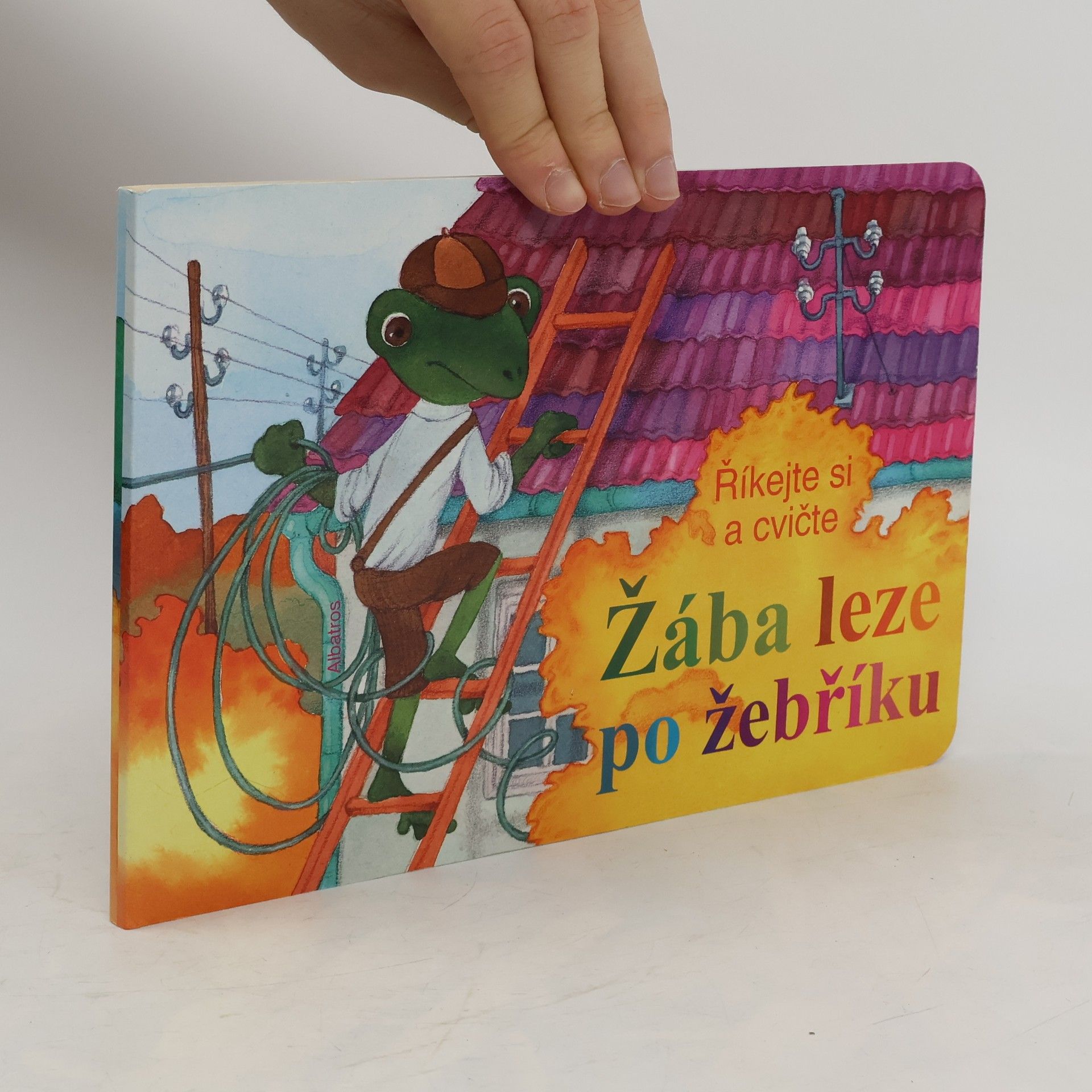 Kolektív autorov Žába leze po žebříku