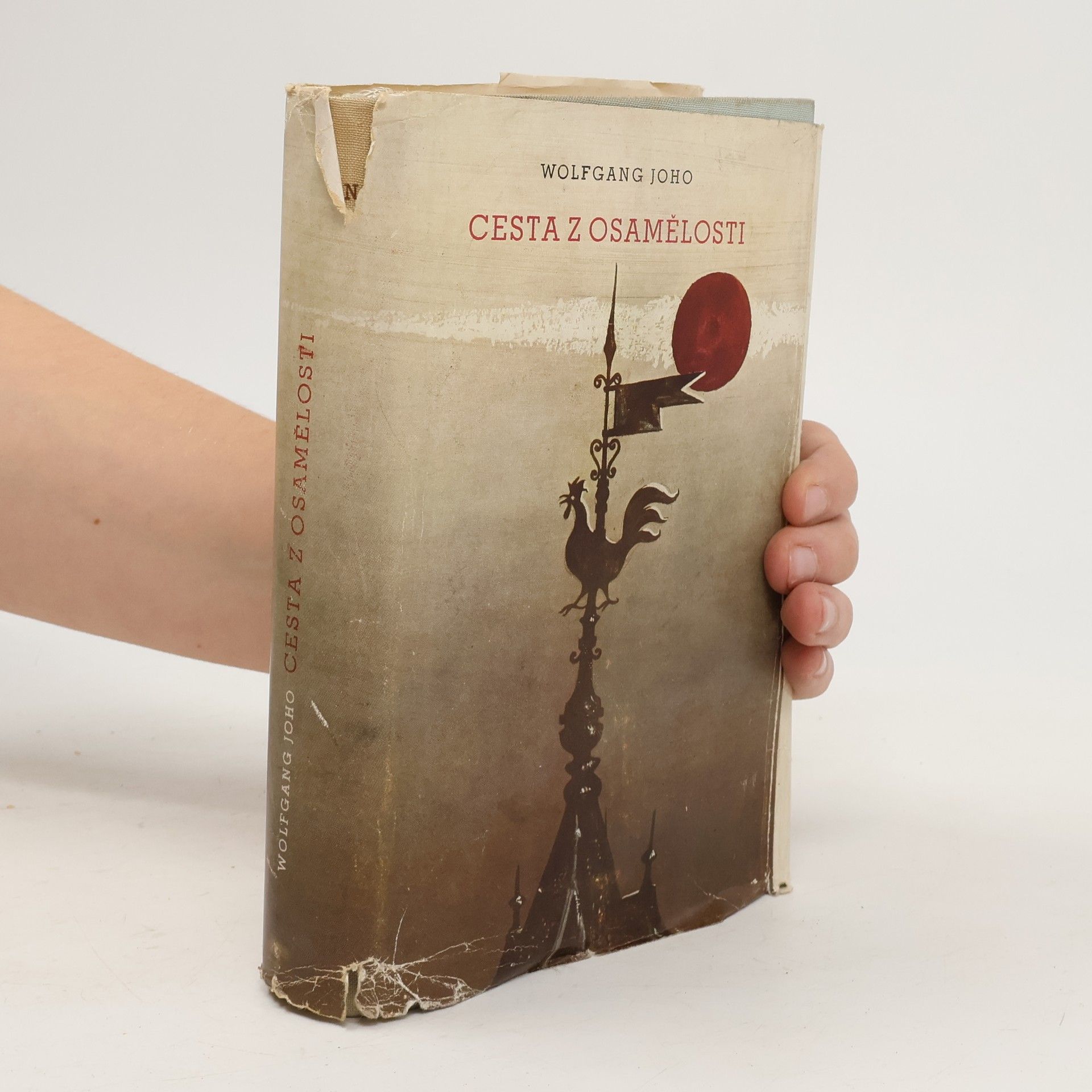 Wolfgang Joho Cesta z osamělosti