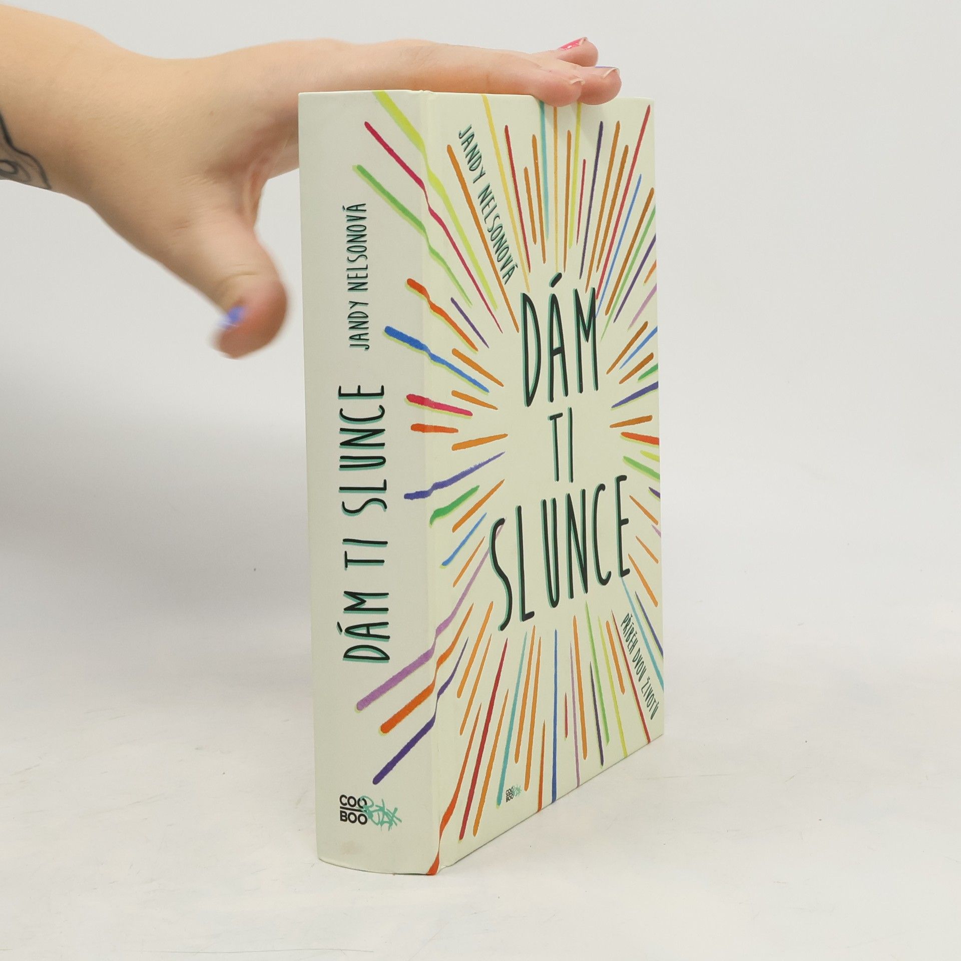 Jandy Nelson Dám ti slunce