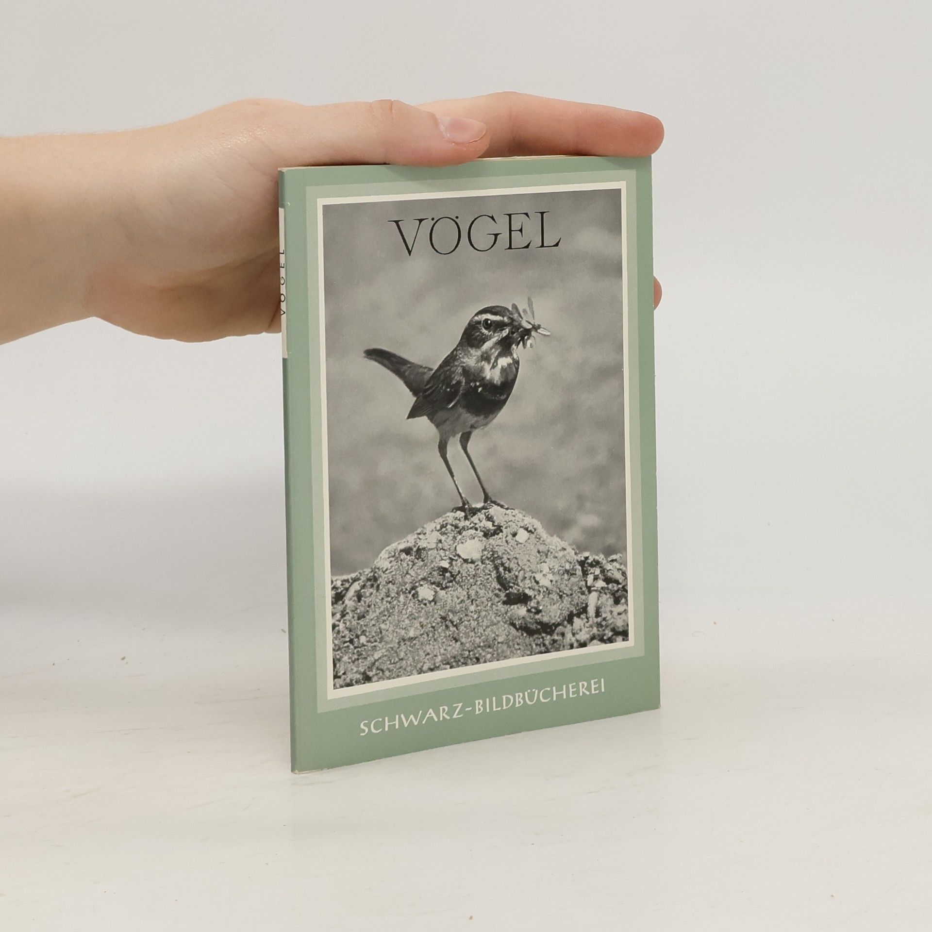 Auteurscollectief Vögel