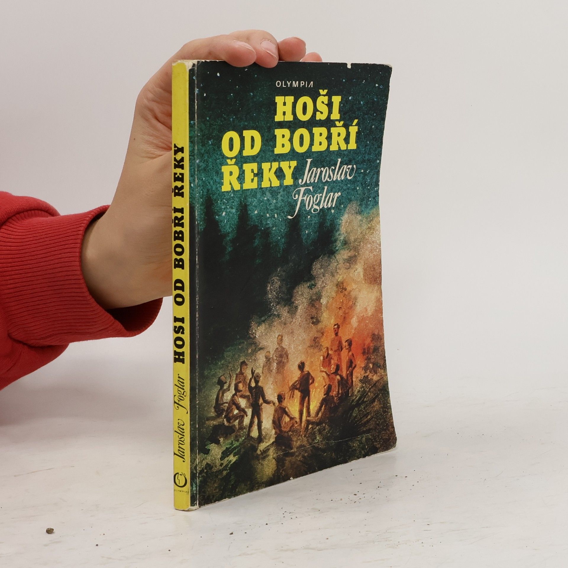 Jaroslav Foglar Hoši od Bobří řeky