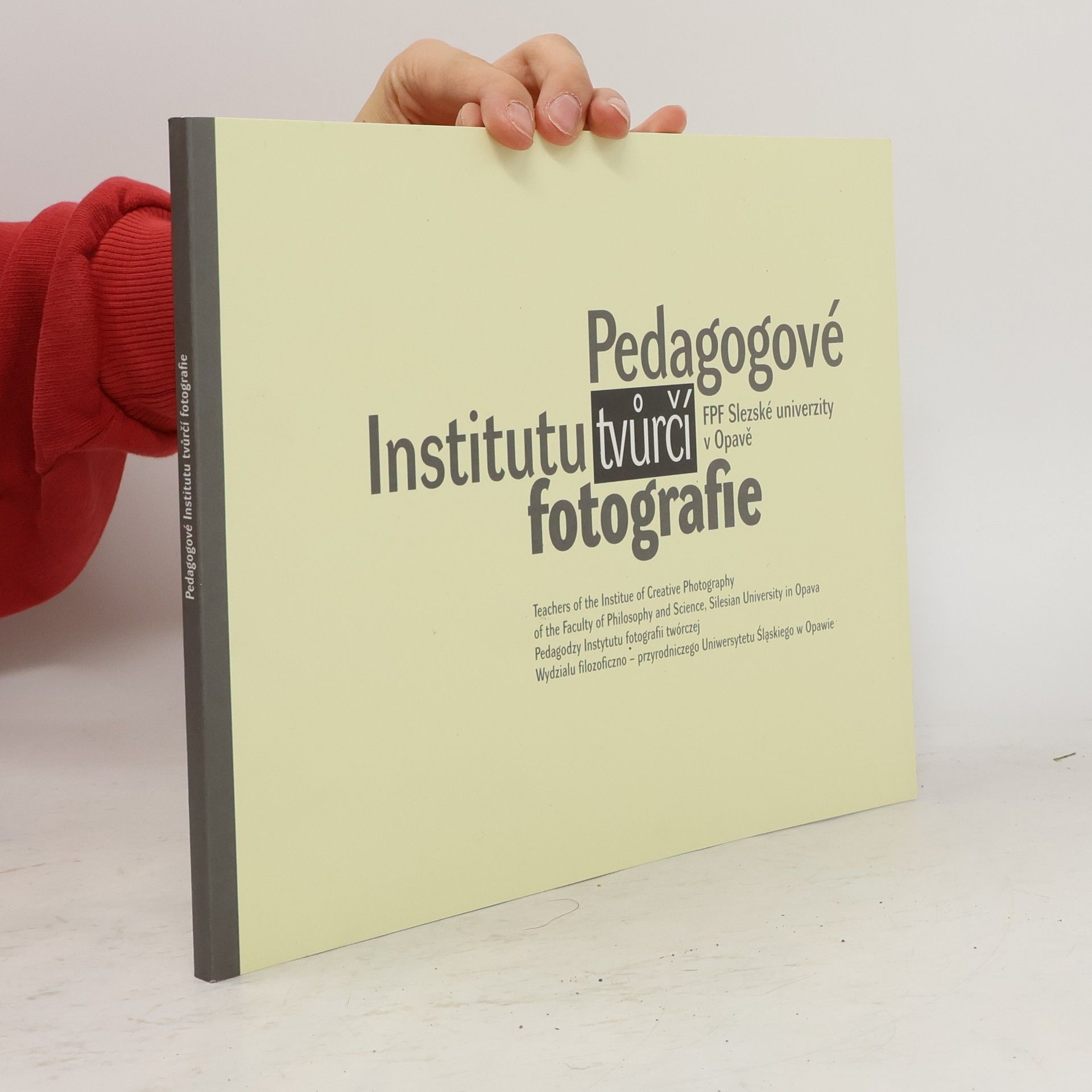 Vladimír Birgus Pedagogové Institutu tvůrčí fotografie FPF Slezské univerzity v Opavě