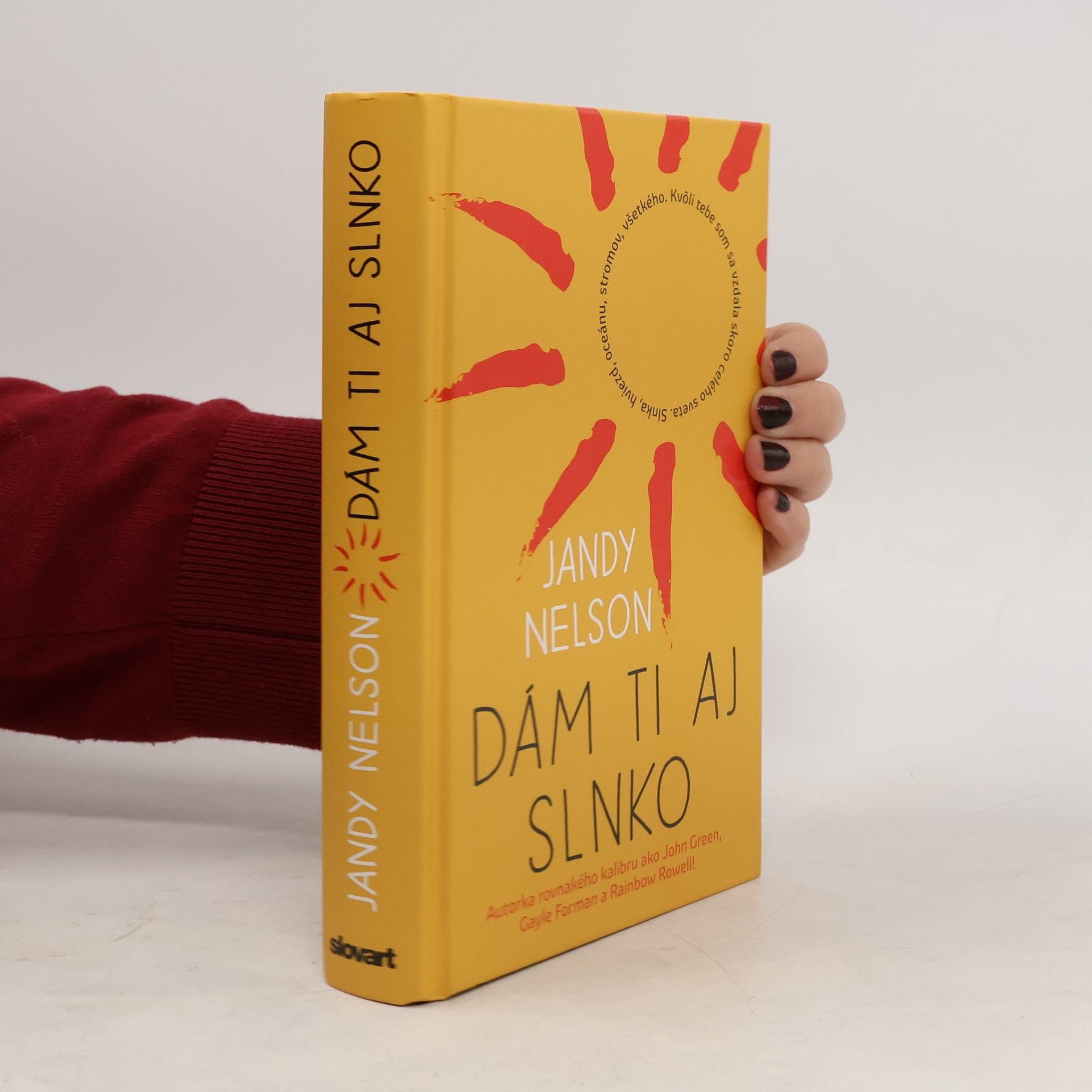 Jandy Nelson Dám ti aj slnko