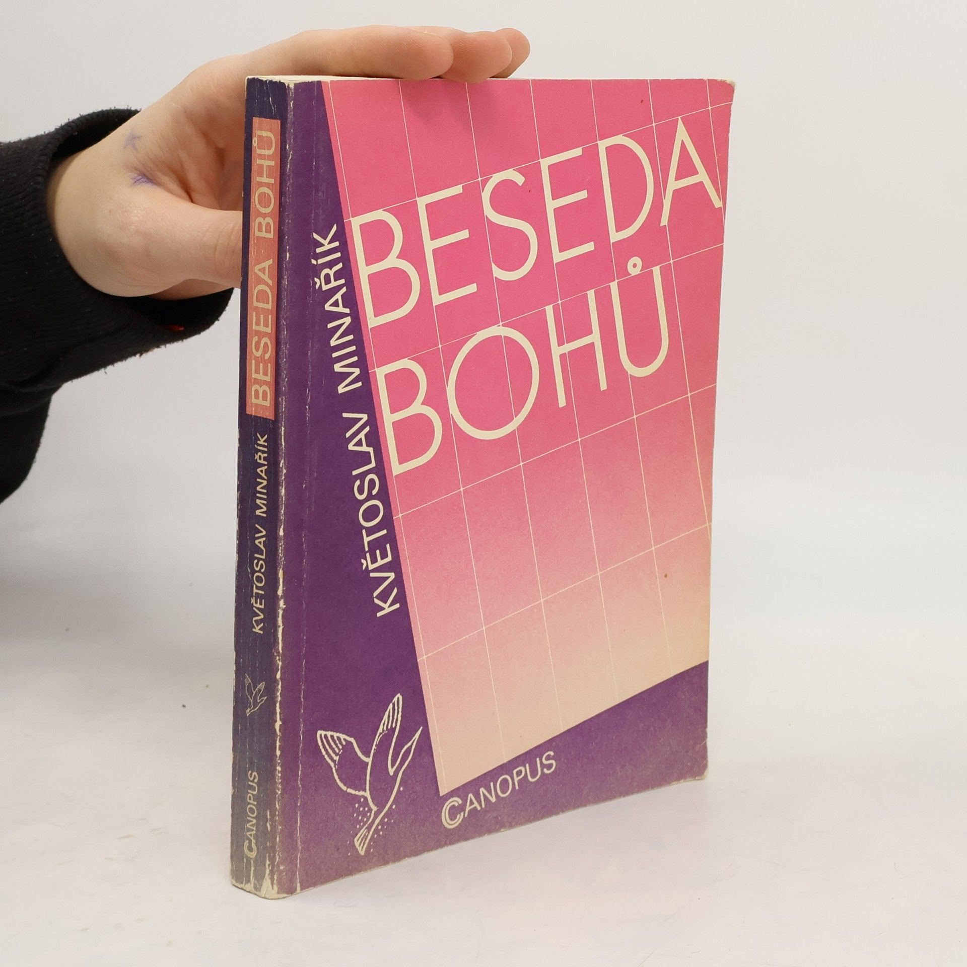 Květoslav Minařík Beseda bohů