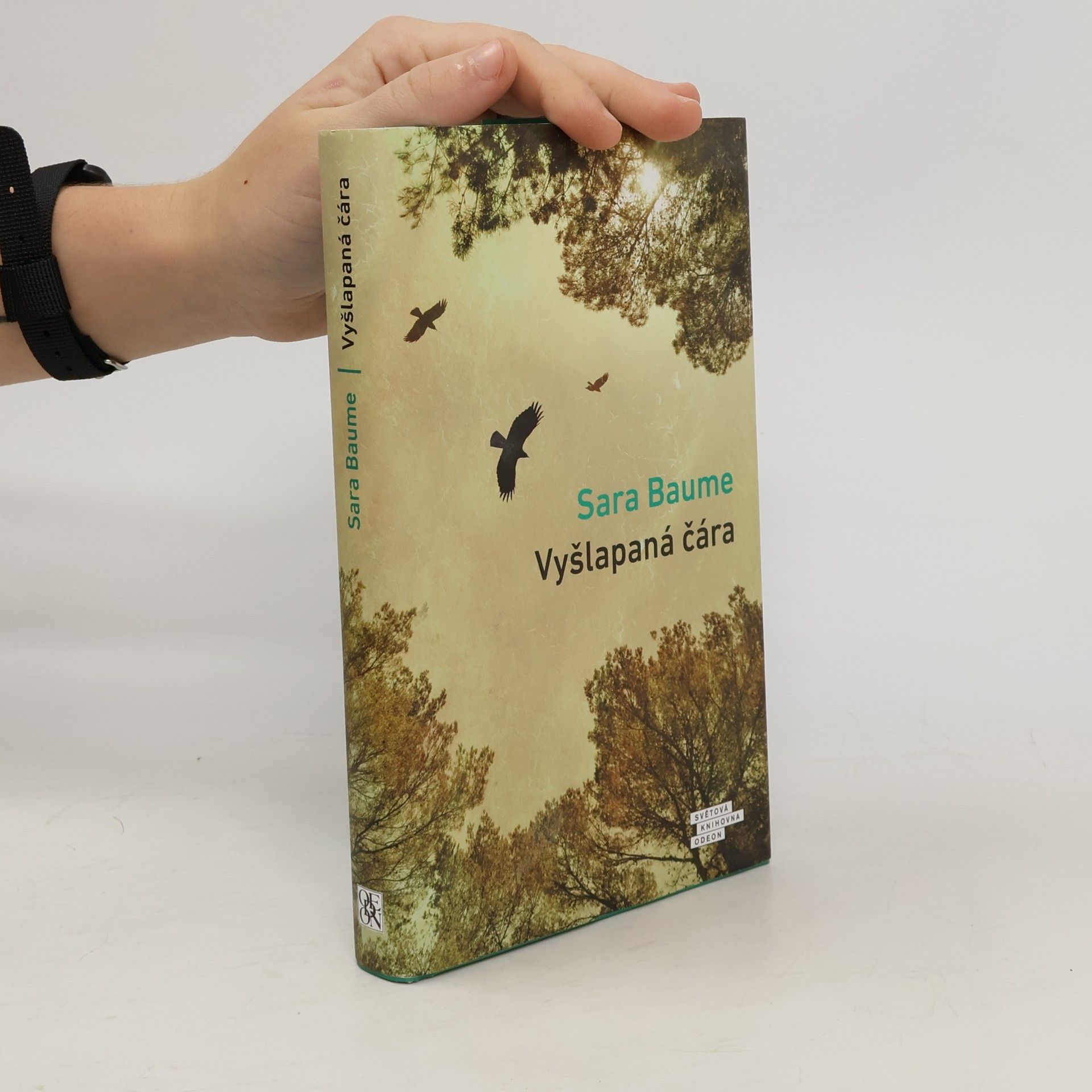 Sara Baume Vyšlapaná čára