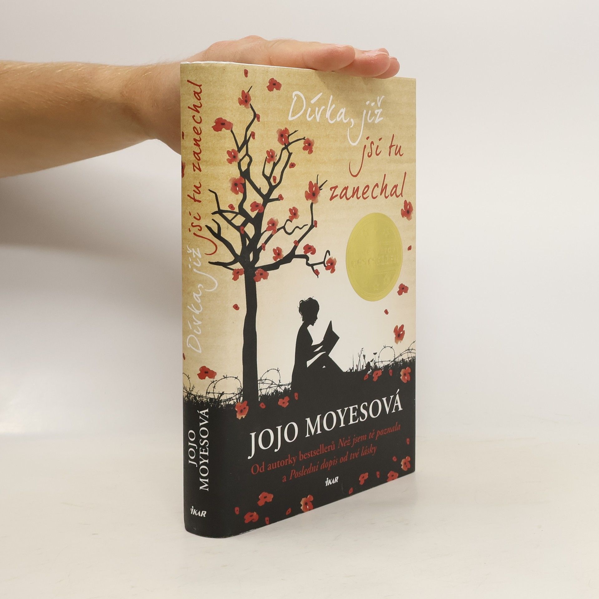 Lucie Mikolajková Dívka, již jsi tu zanechal