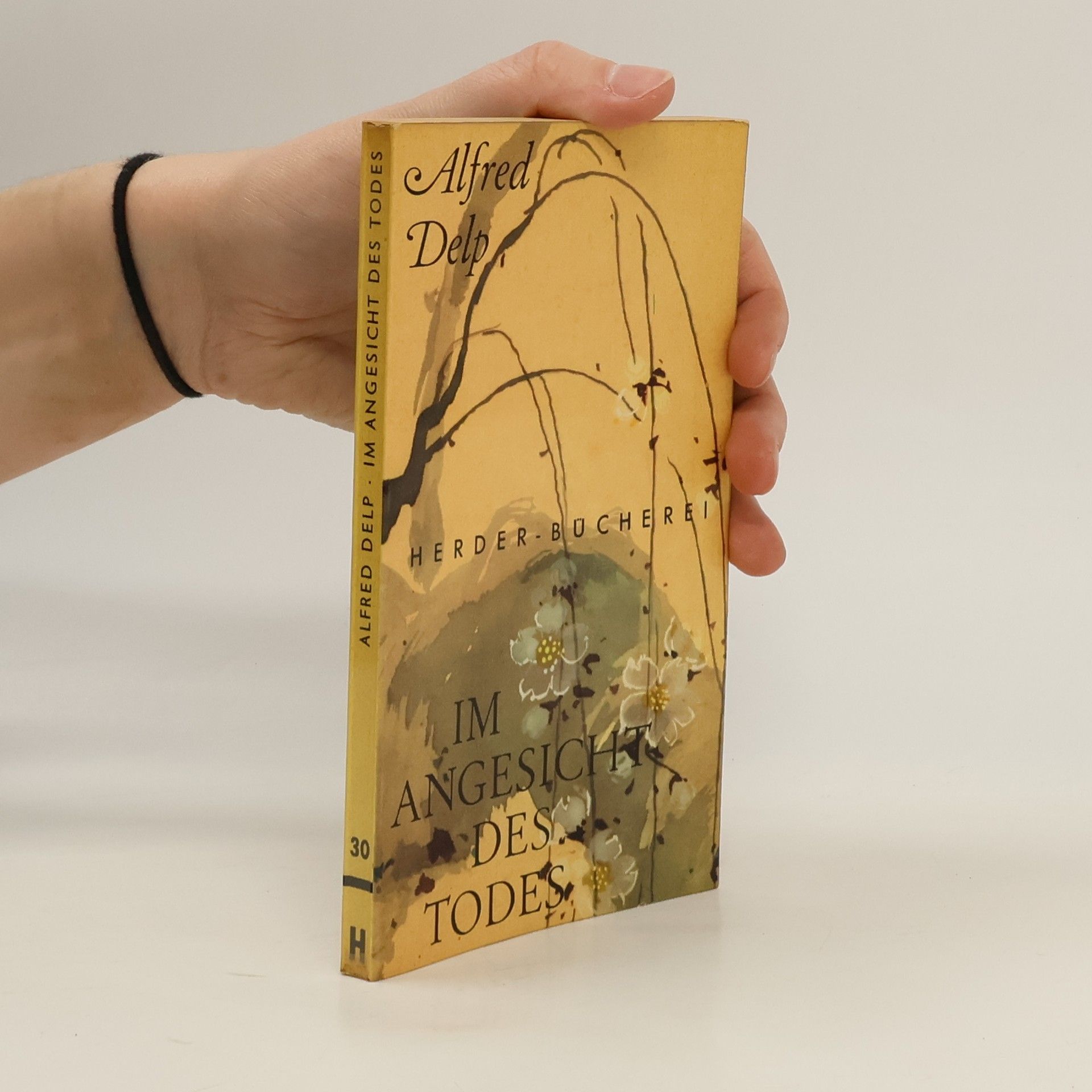 Alfred Delp Im Angesicht des Todes