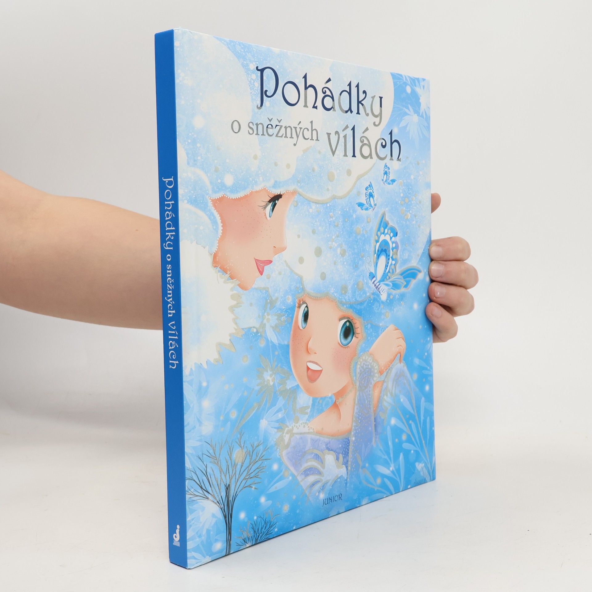 Autorenkollektiv Pohádky o sněžných vílách