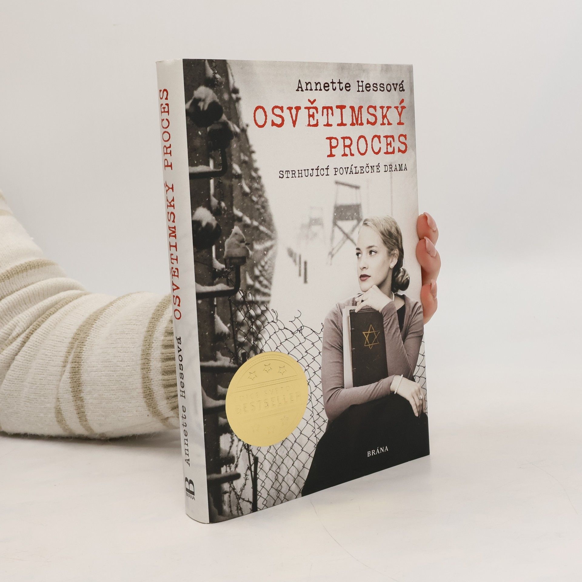 Annette Hess Osvětimský proces