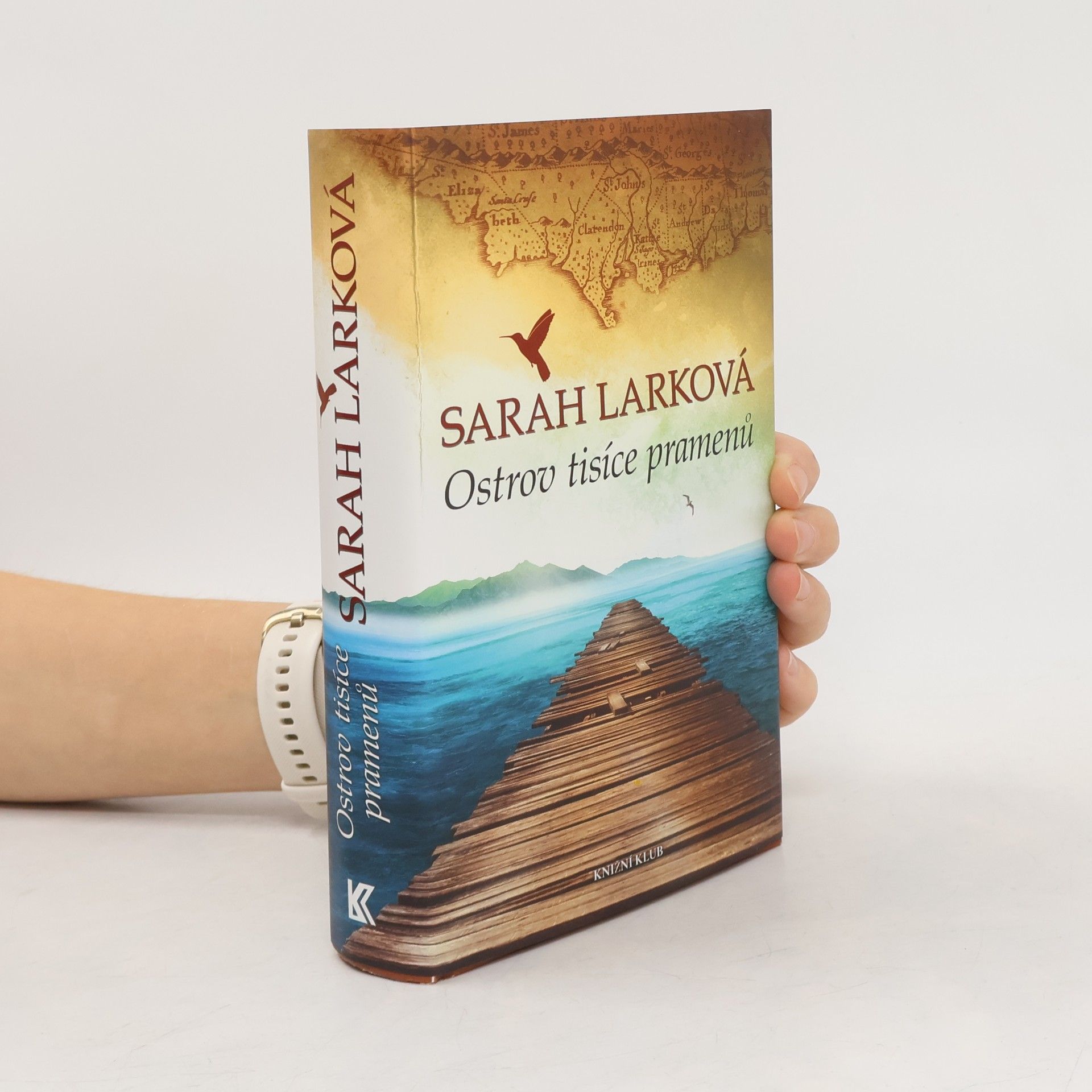 Christiane Gohl Ostrov tisíce pramenů