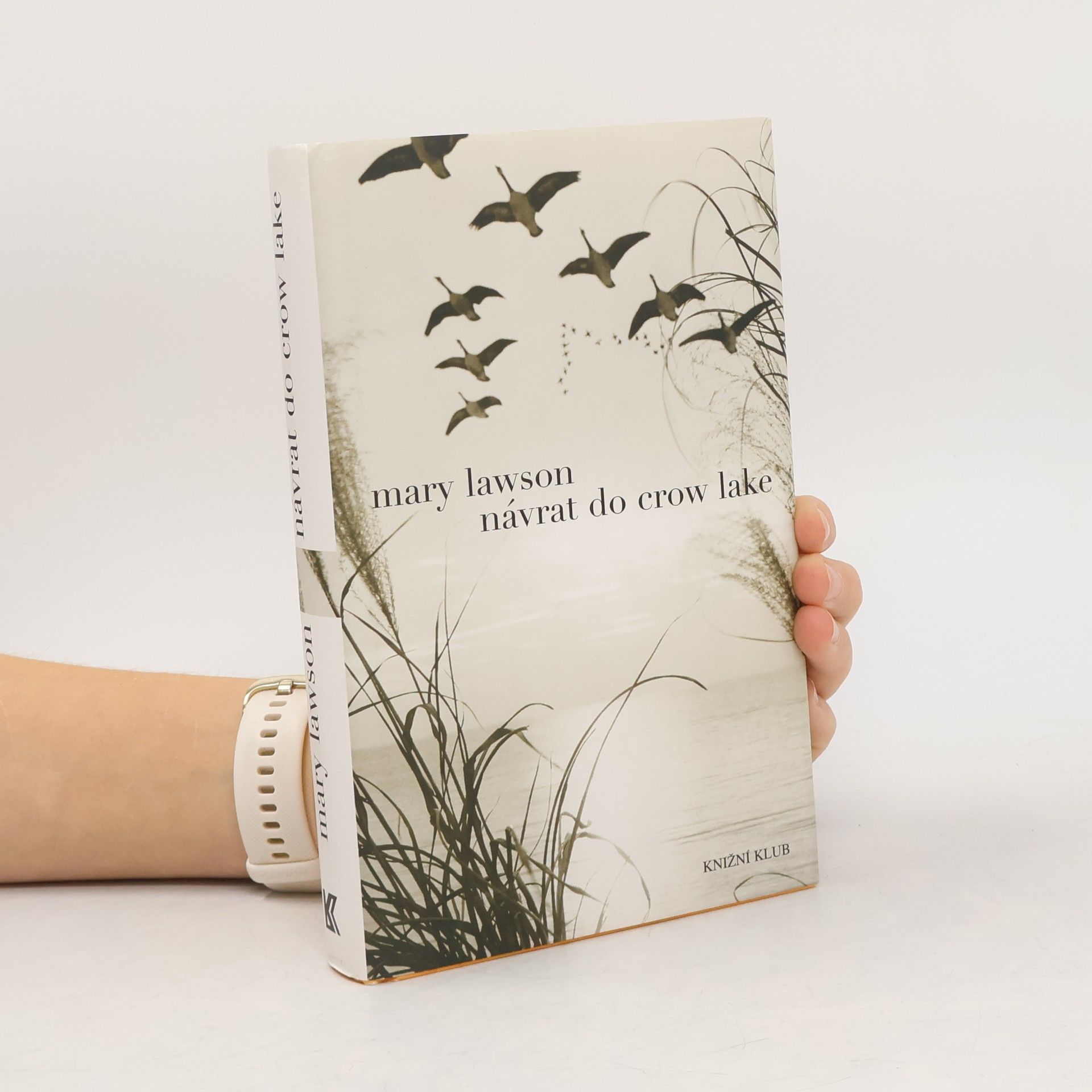 Mary Lawson Návrat do Crow Lake