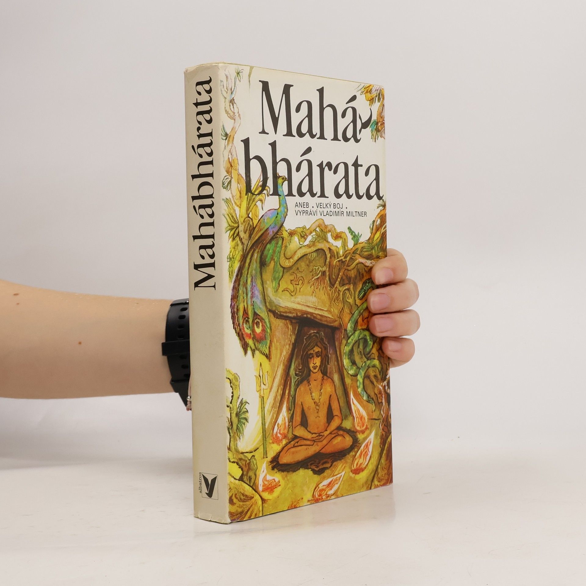 Jaromír Skřivánek Mahábhárata aneb Velký boj