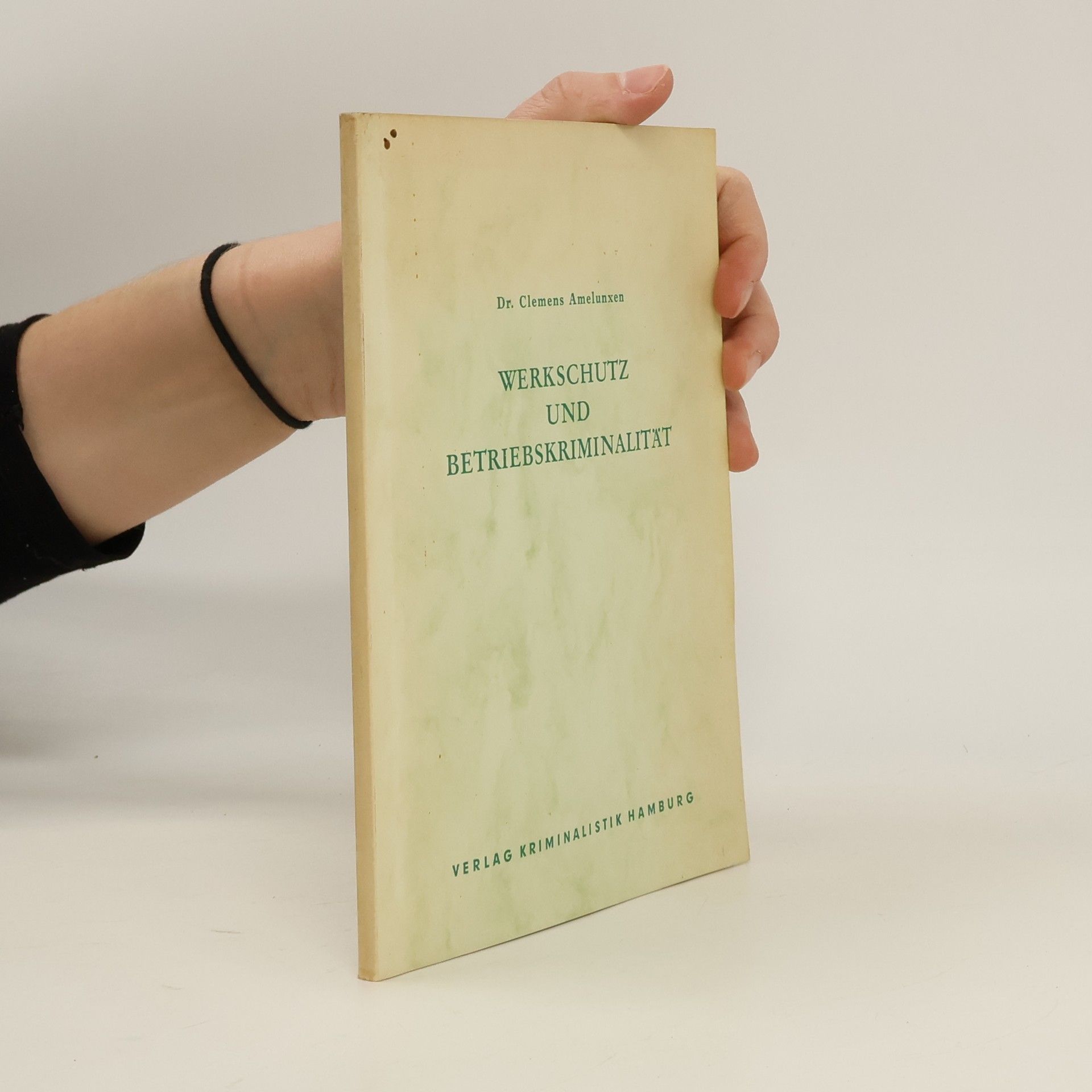 Werkschutz und Betriebskriminalität