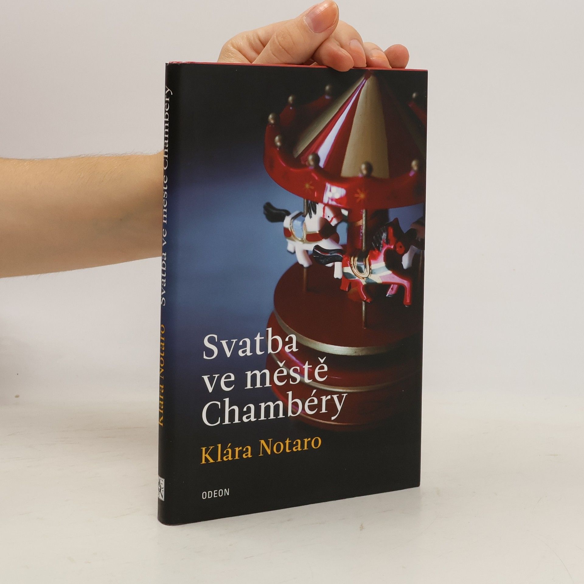 Klára Notaro Svatba ve městě Chambéry