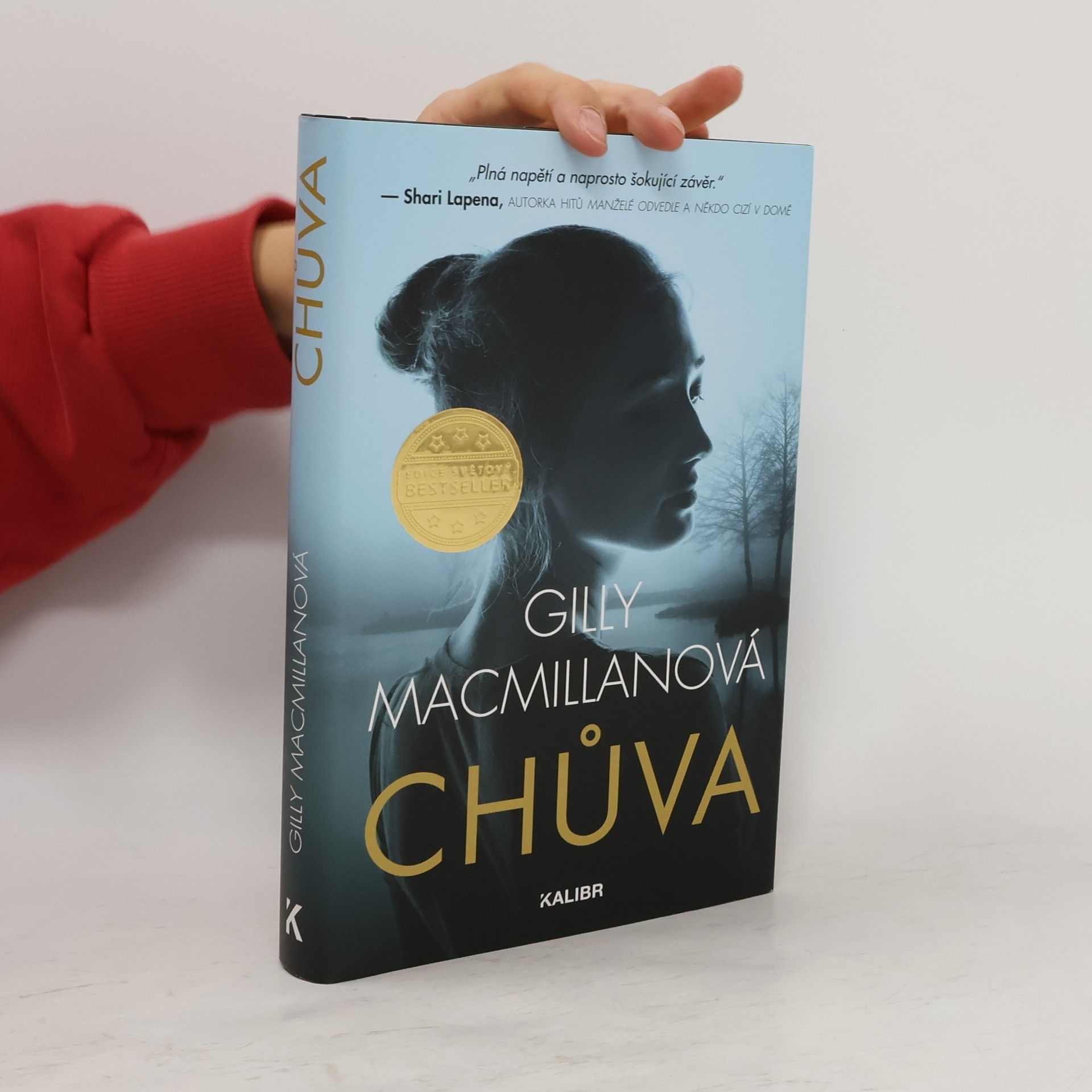 Gilly Macmillan Chůva