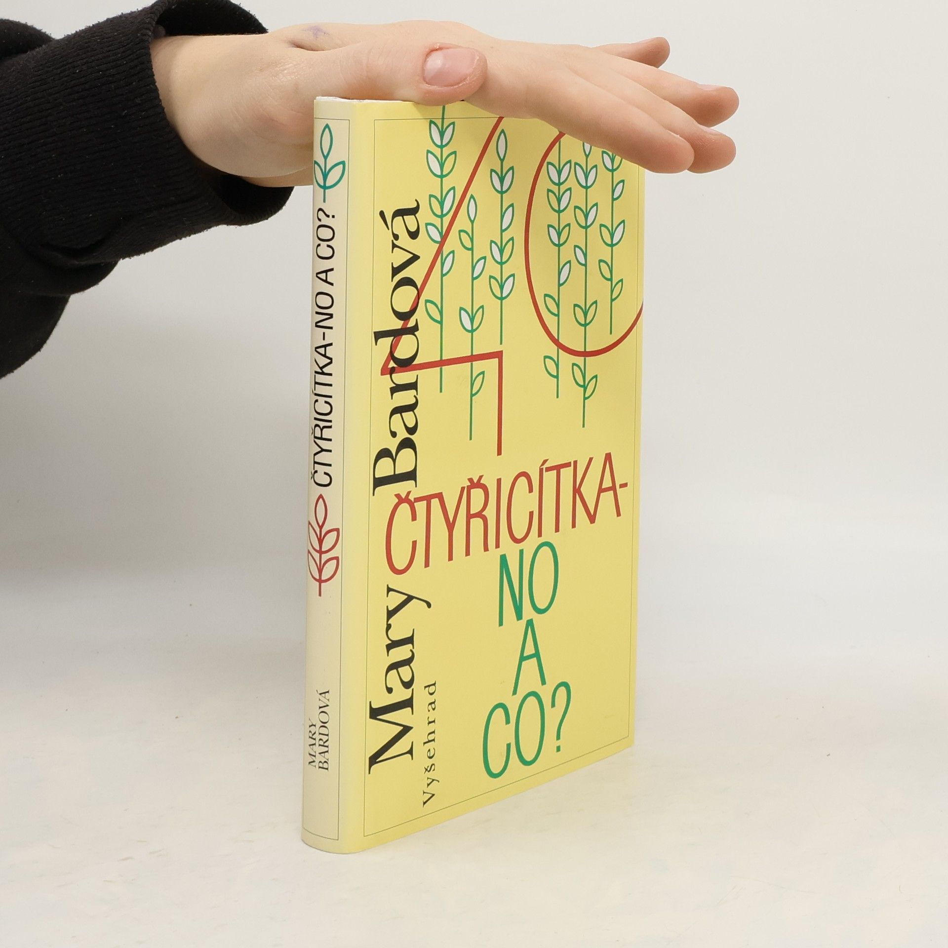 Mary Bard Čtyřicítka - no a co?