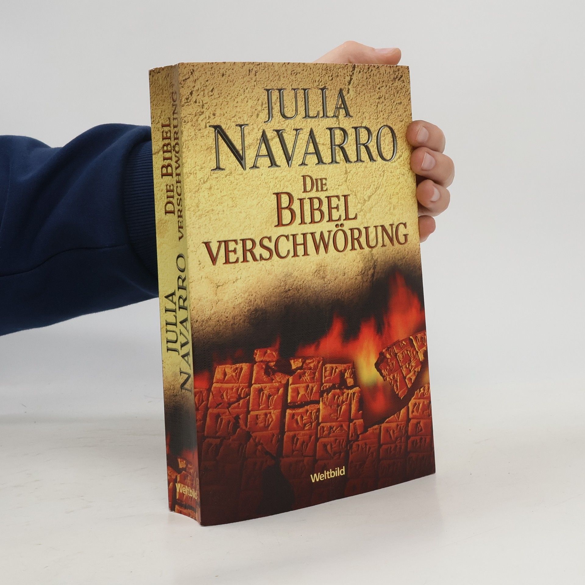 Julia Navarro Die Bibel-Verschwörung