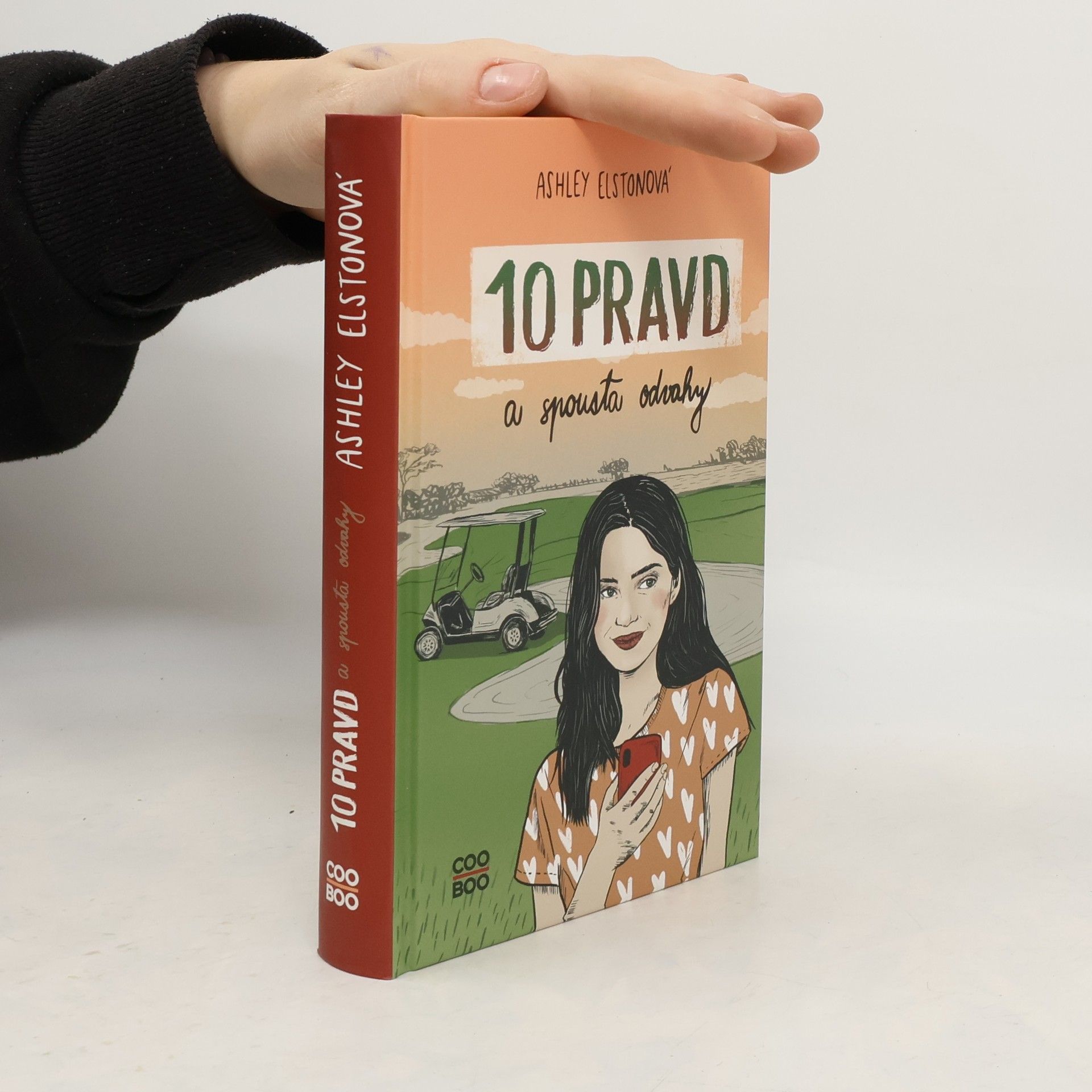 Ashley Elston 10 pravd a spousta odvahy