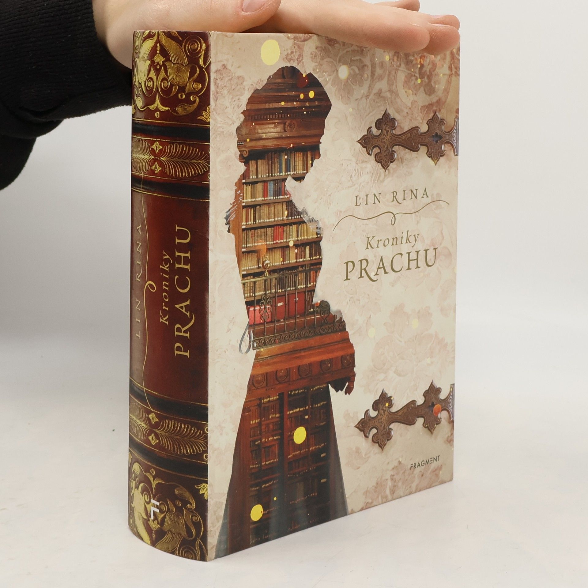 Lin Rina Kroniky prachu