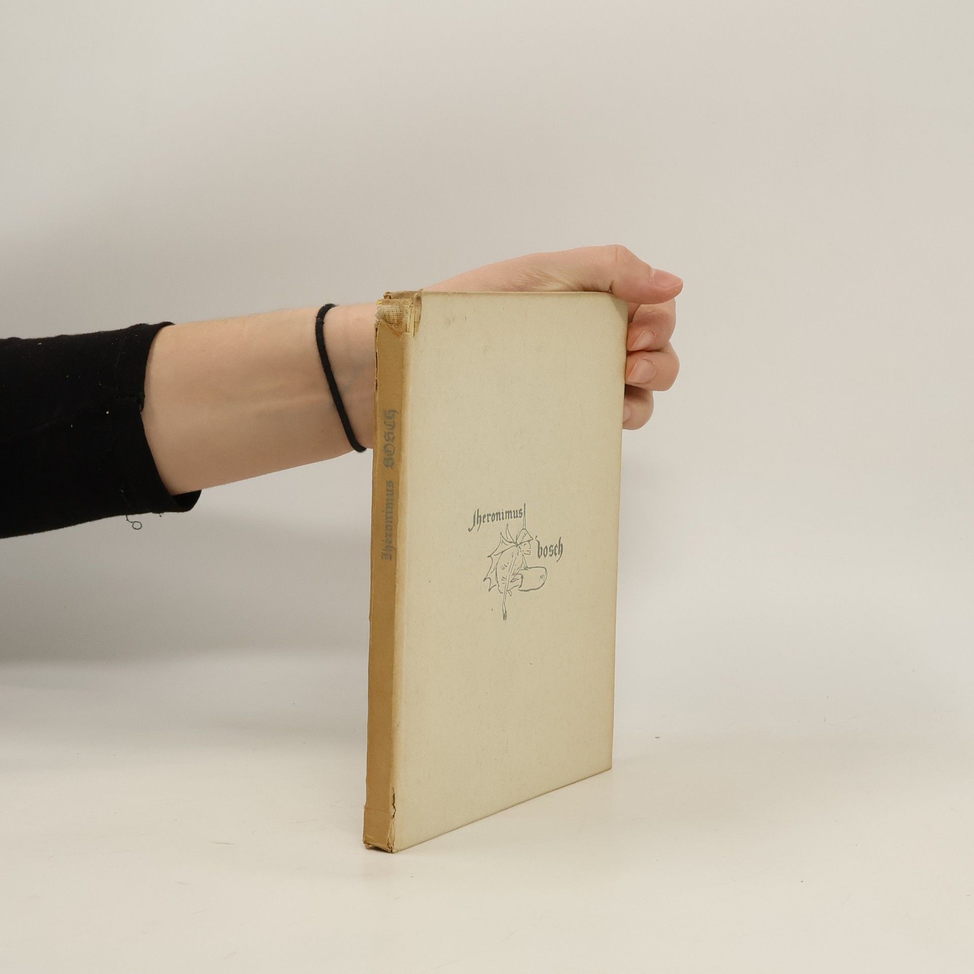 Jean Leymarie Hieronymus Bosch