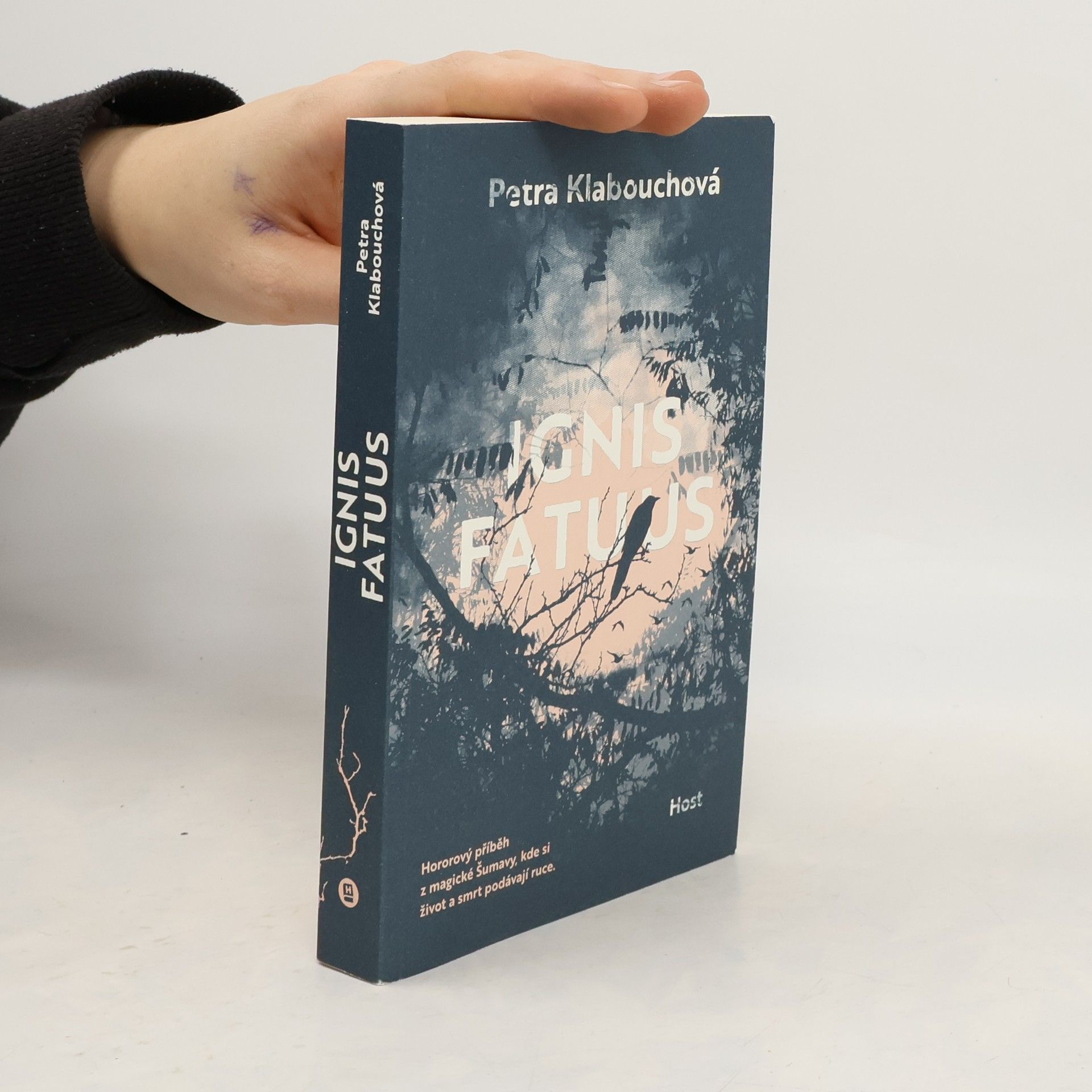 Petra Klabouchová Ignis fatuus