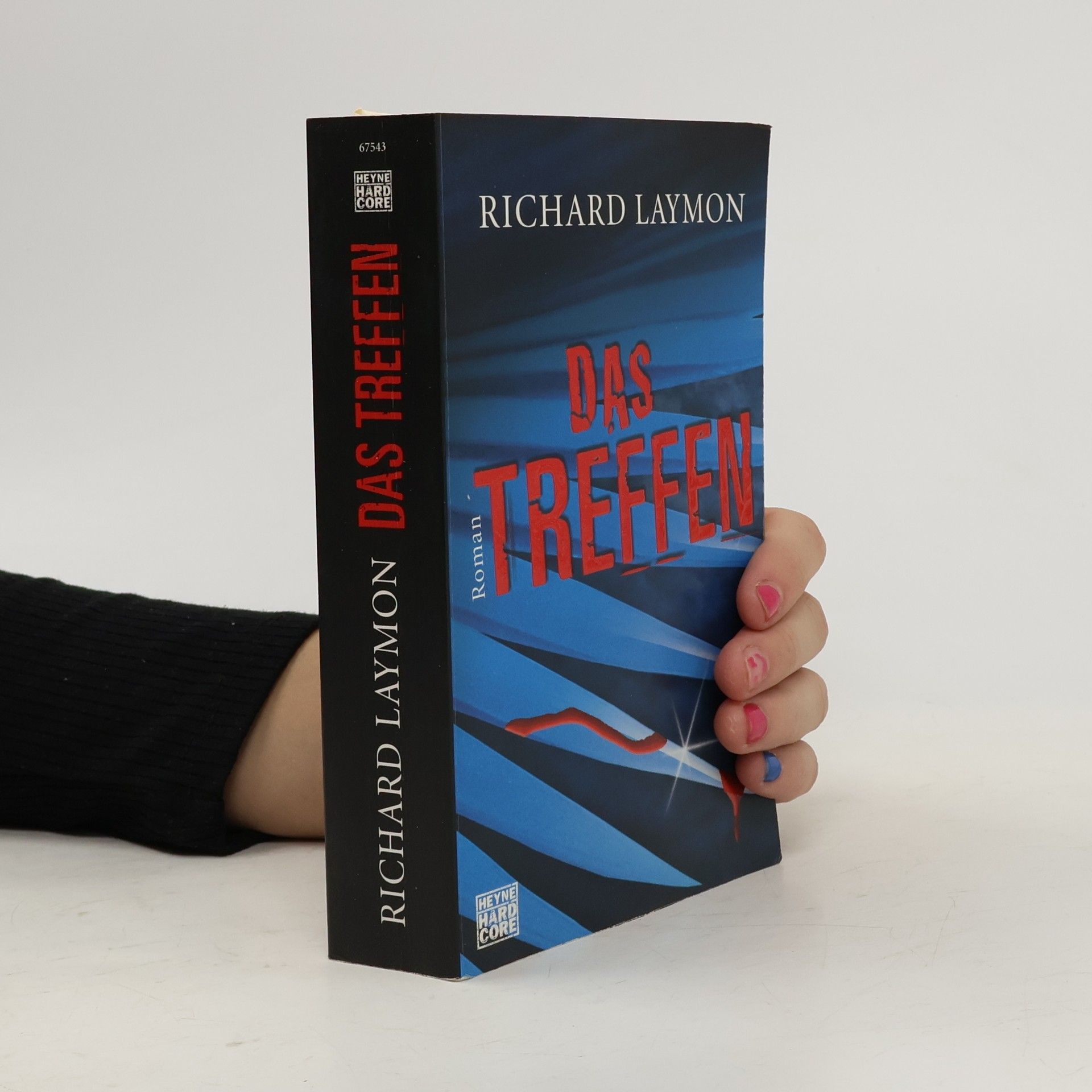 Richard Laymon Das Treffen
