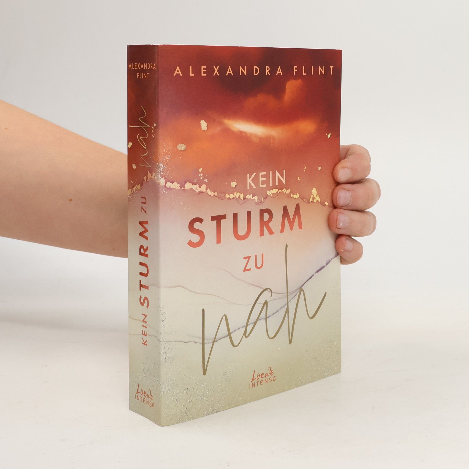 Alexandra Flint Kein Sturm zu nah (Tales of Sylt, Band 2)