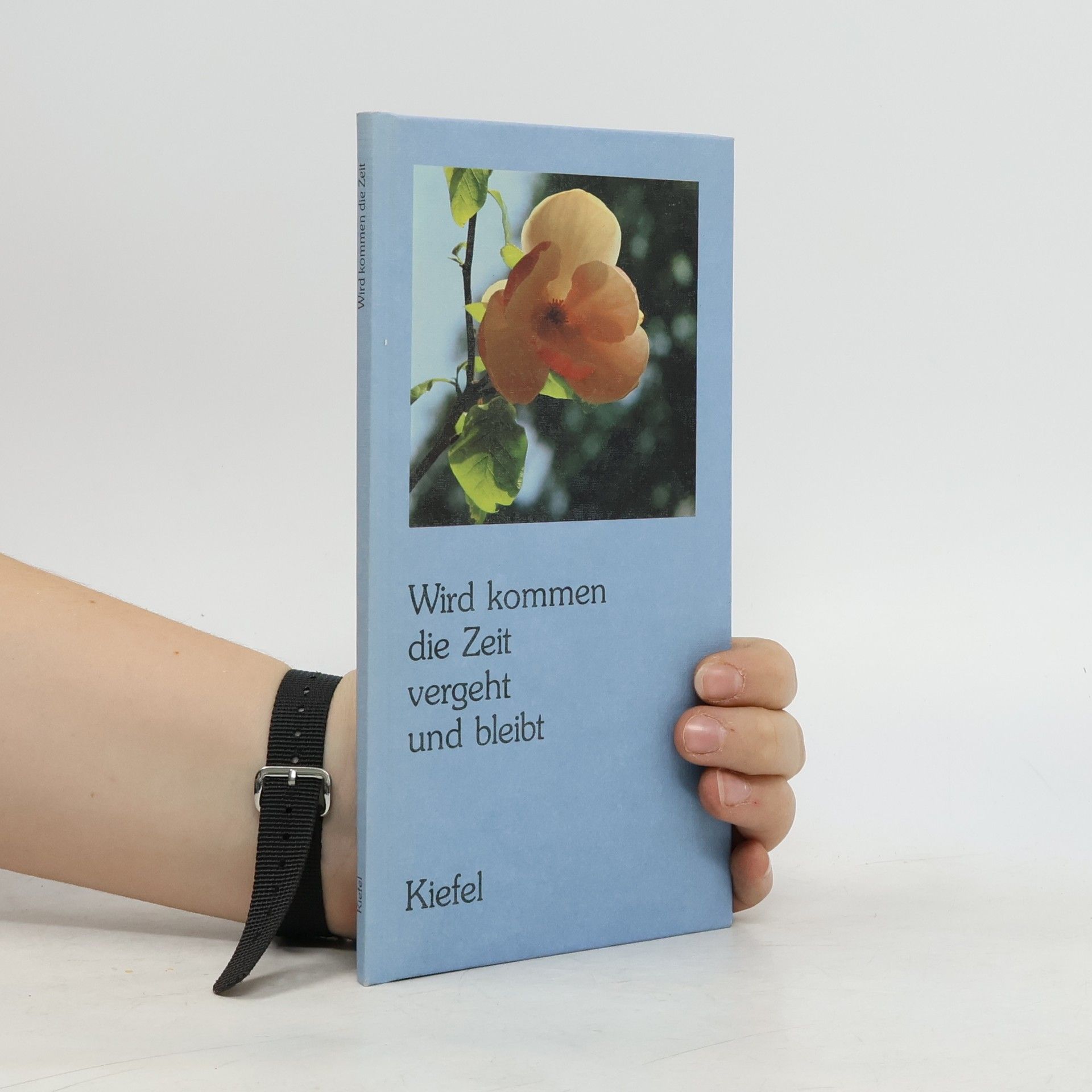 Hanna Barnhelm Wird kommen die Zeit vergeht und bleibt