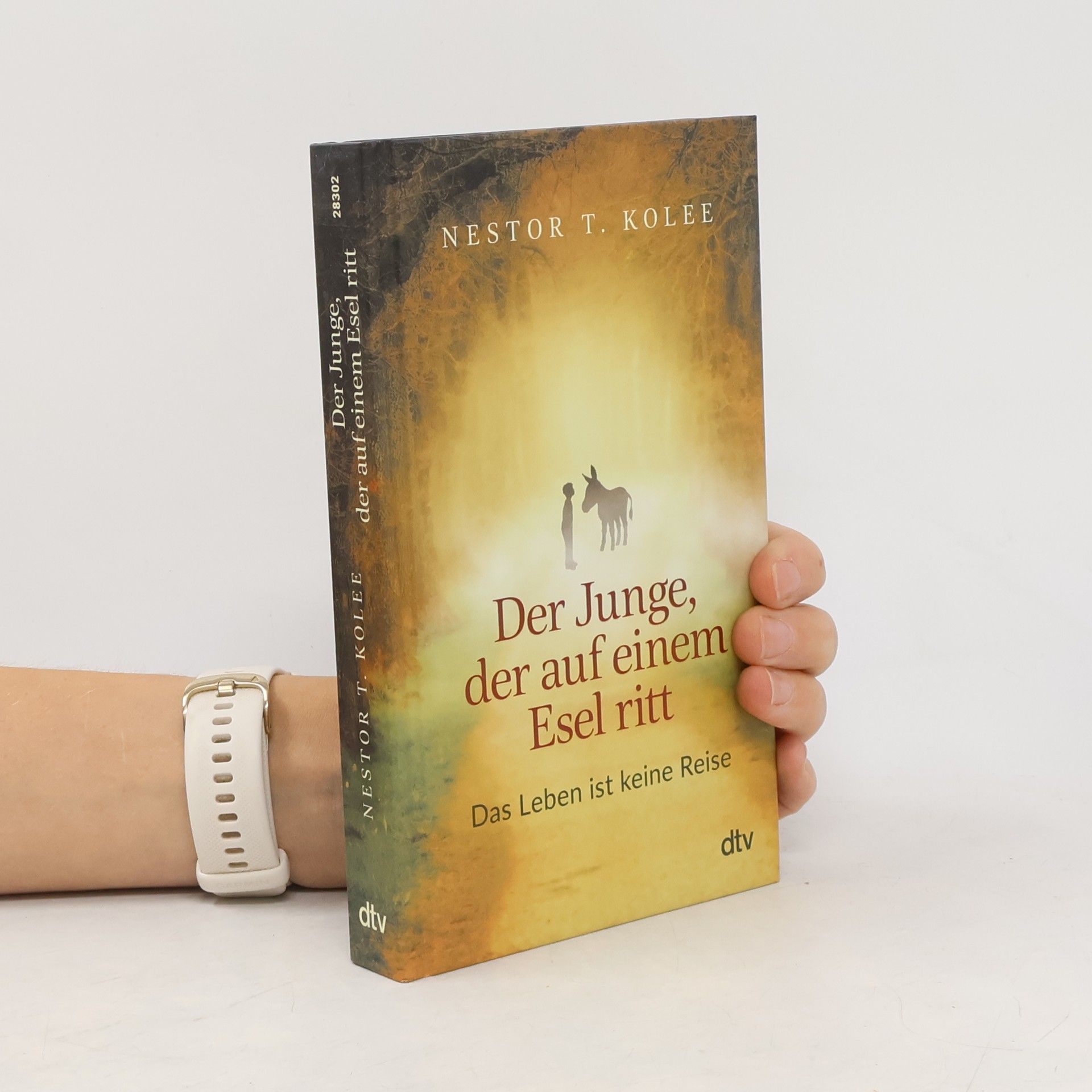 Der Junge, der auf einem Esel ritt