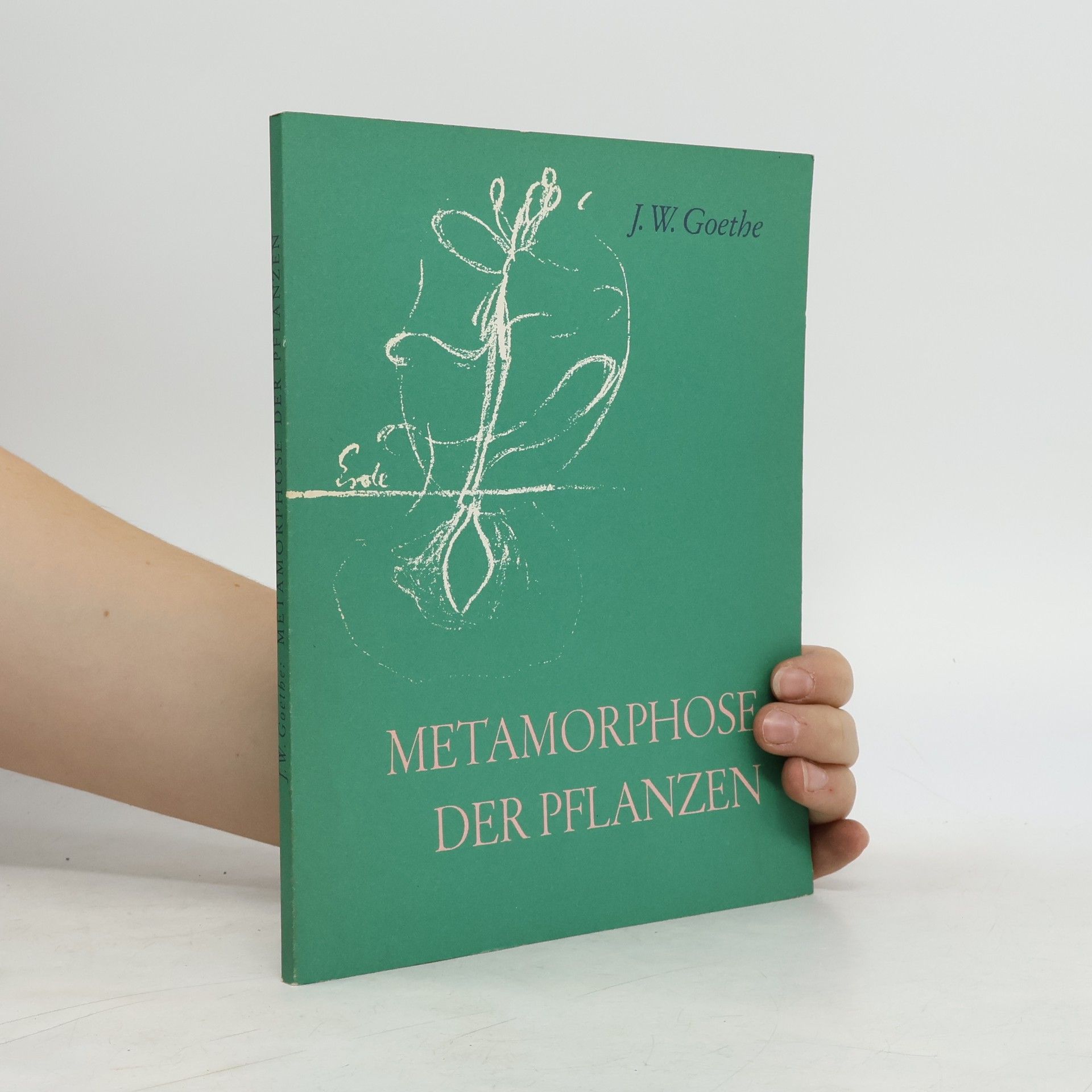 Johann Wolfgang von Goethe Die Metamorphose der Pflanzen