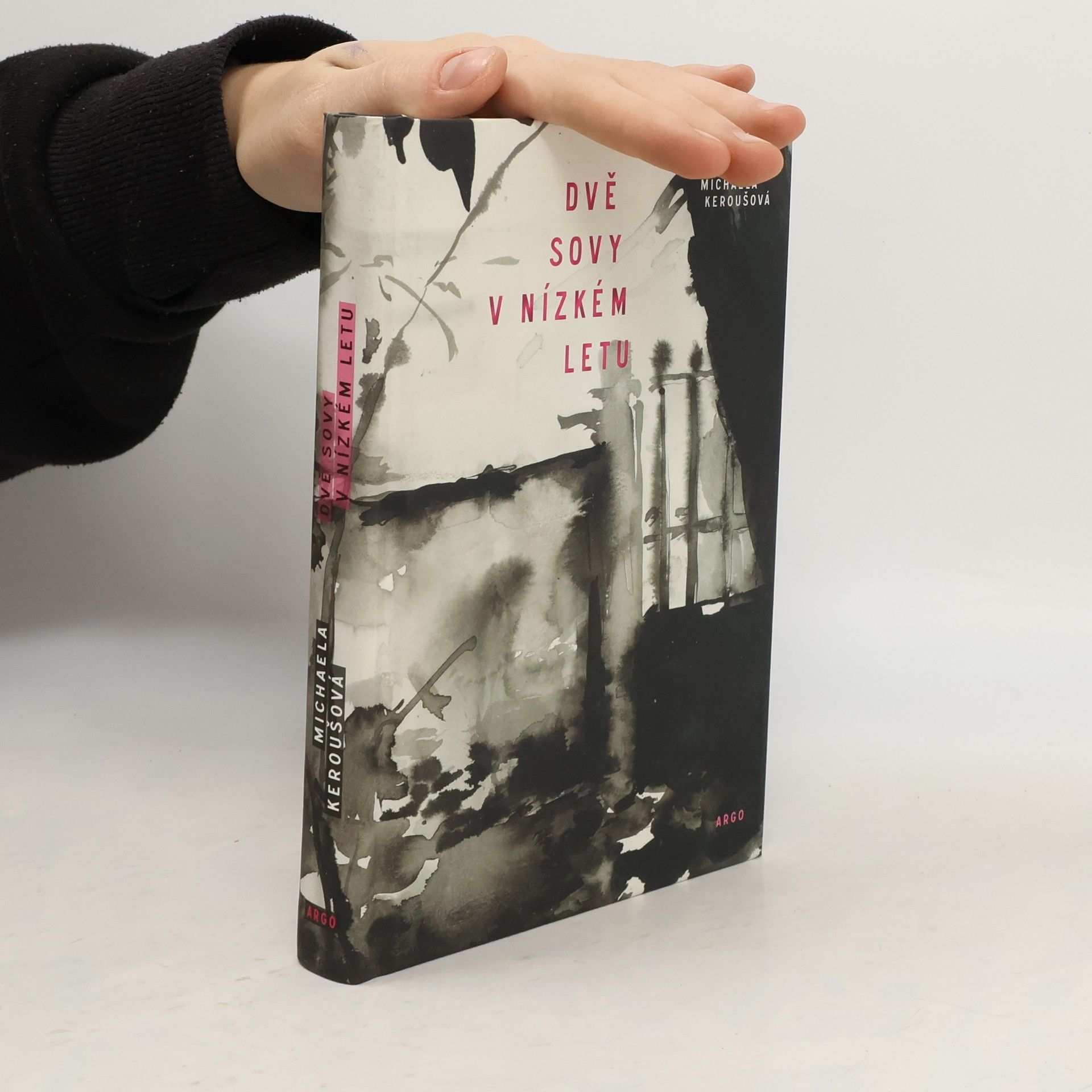 Michaela Keroušová Dvě sovy v nízkém letu