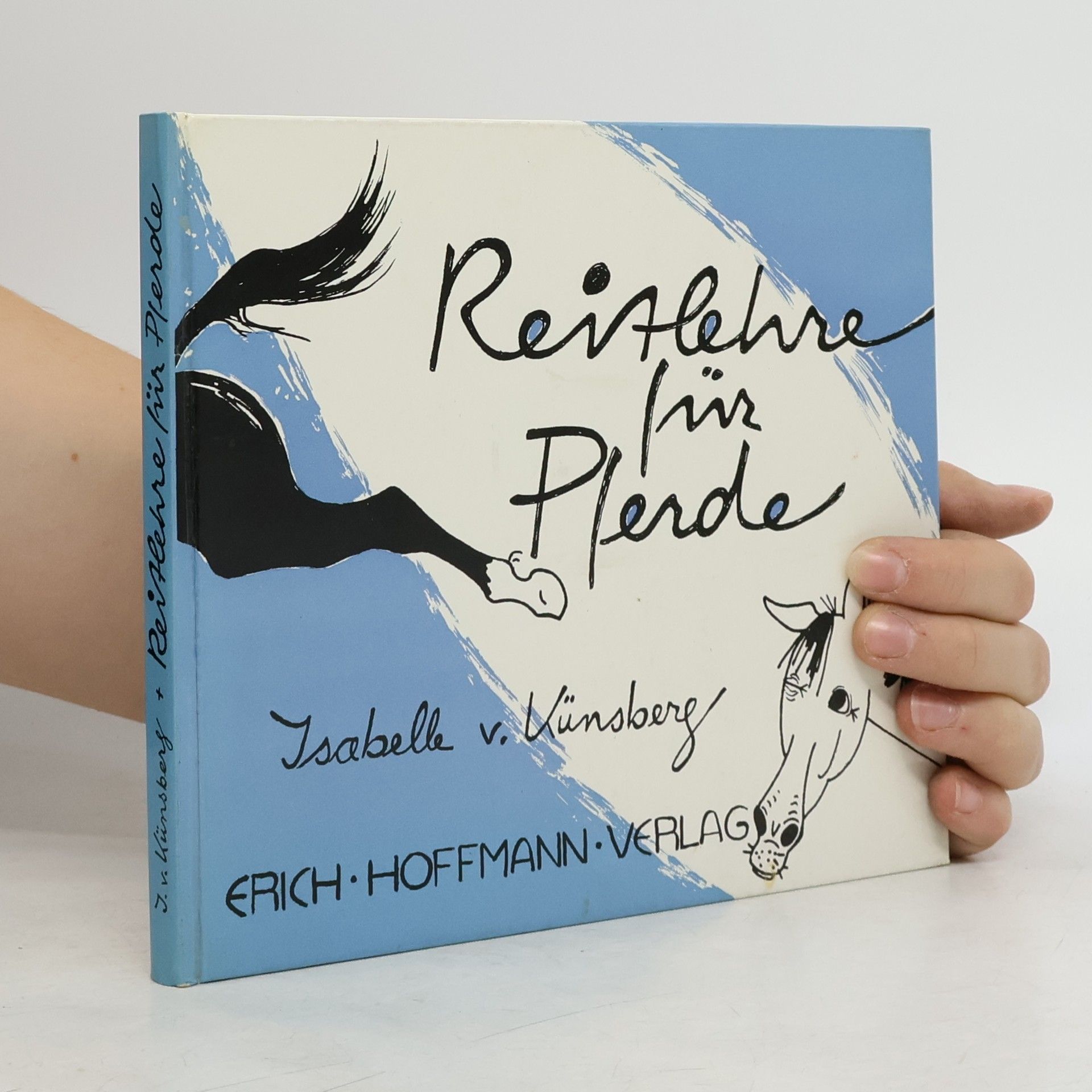 Isabelle von Künsberg Reitlehre für Pferde